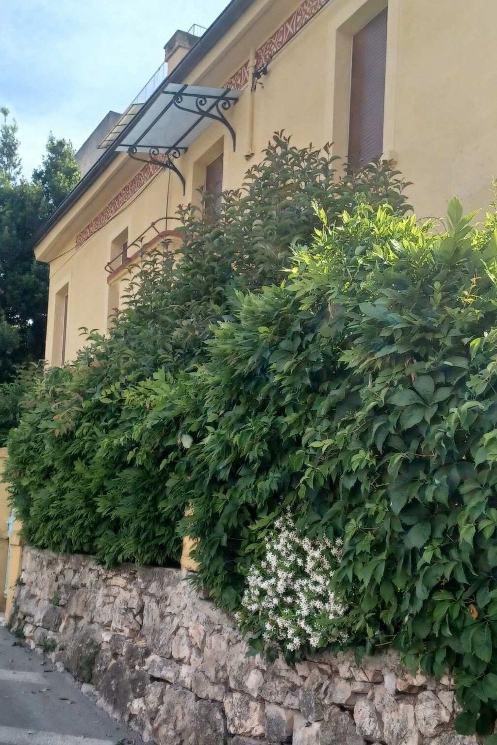 Appartement in Rovinj mit Terrasse und Garten-Buiten