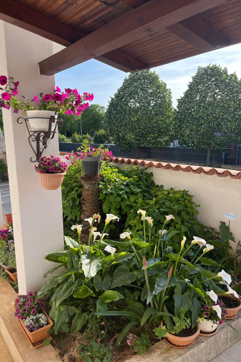 Photo of Apartment 2366