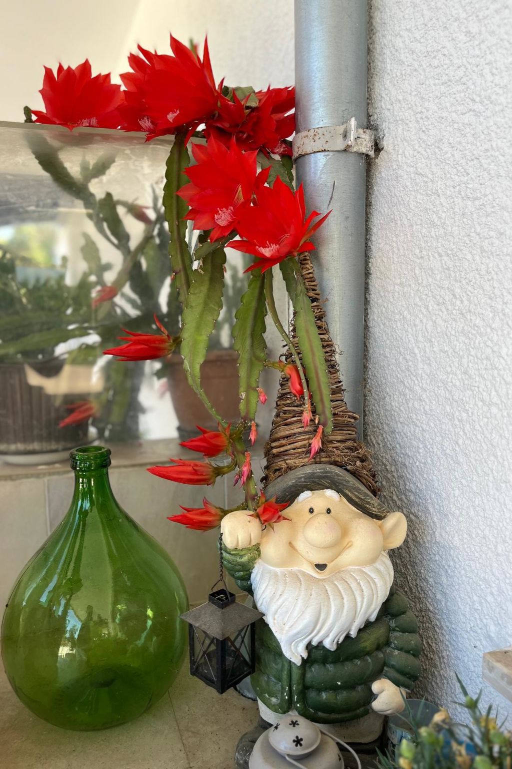 Photo of Apartment 2366