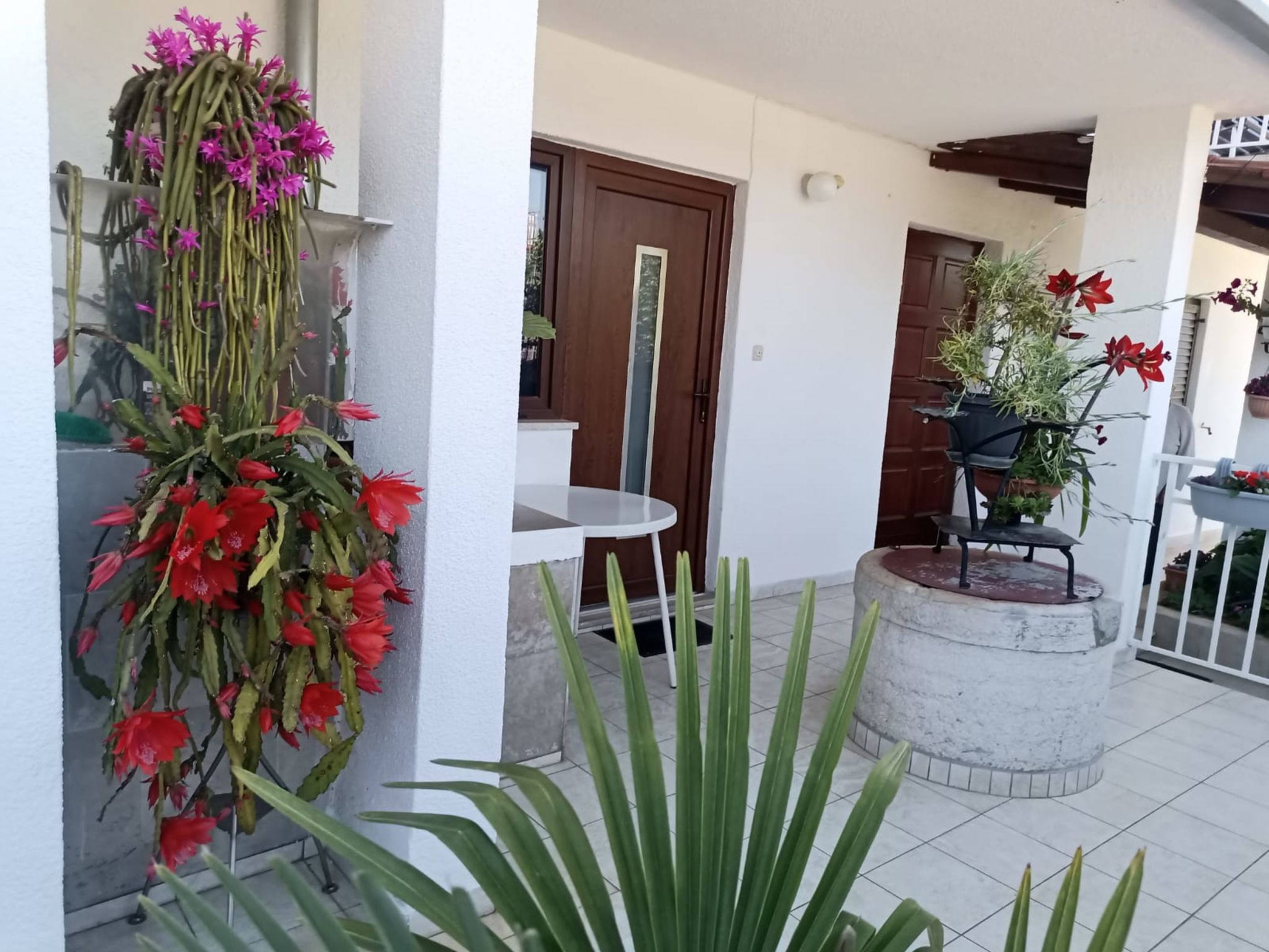 Photo of Apartment 2366