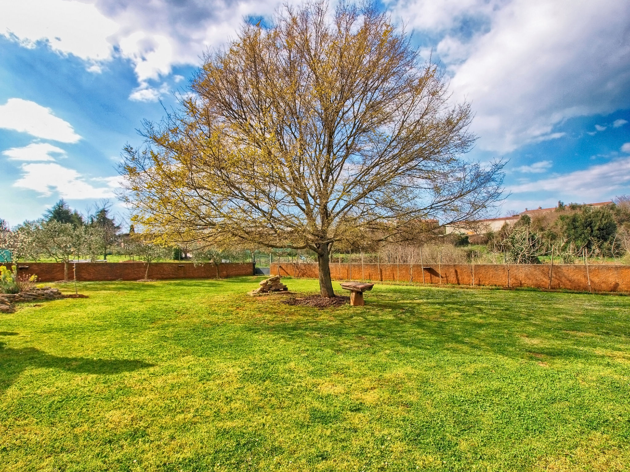 Photo of Apartment 1049