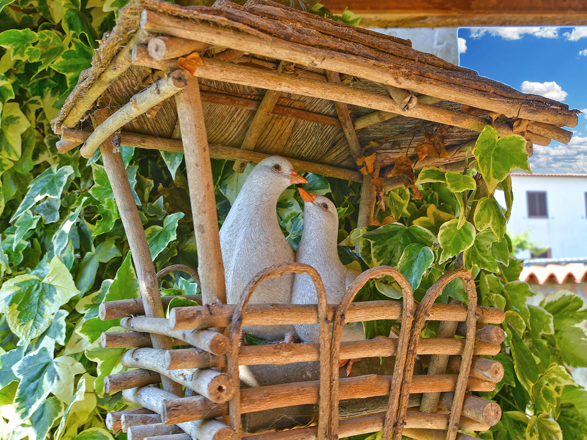 Photo of Apartment 615