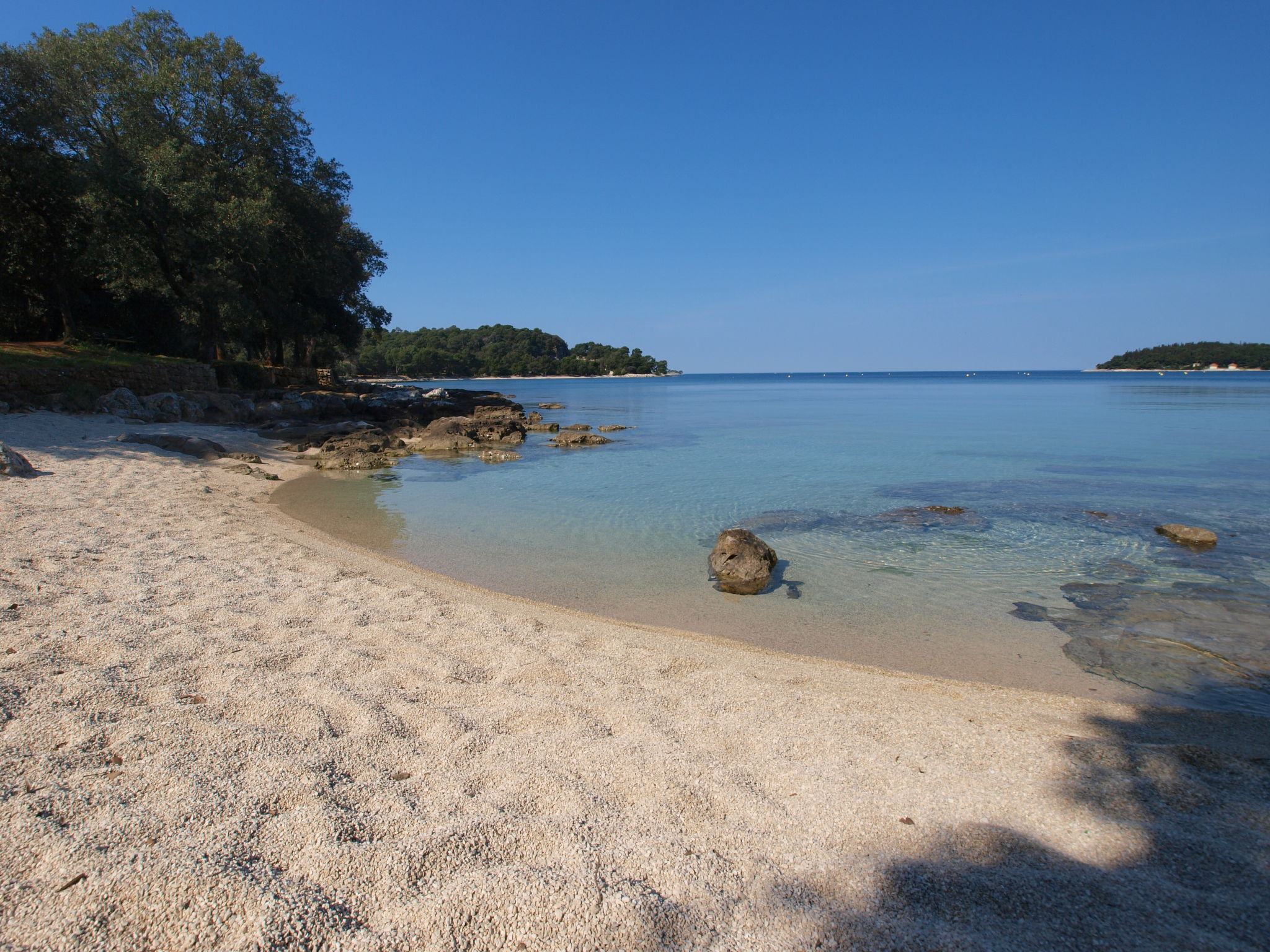 Photo of Apartment 1066