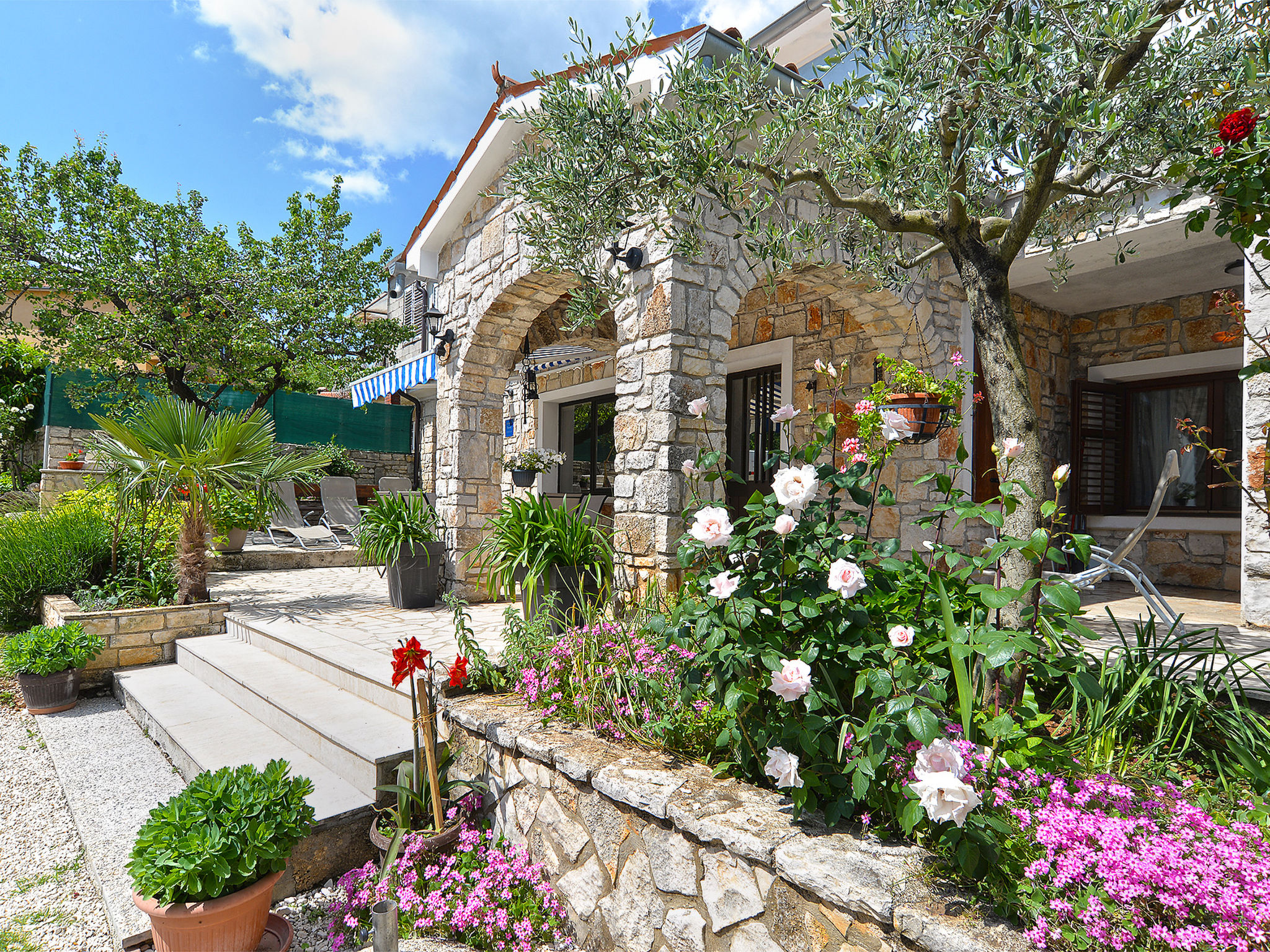 Photo of Apartment 2240