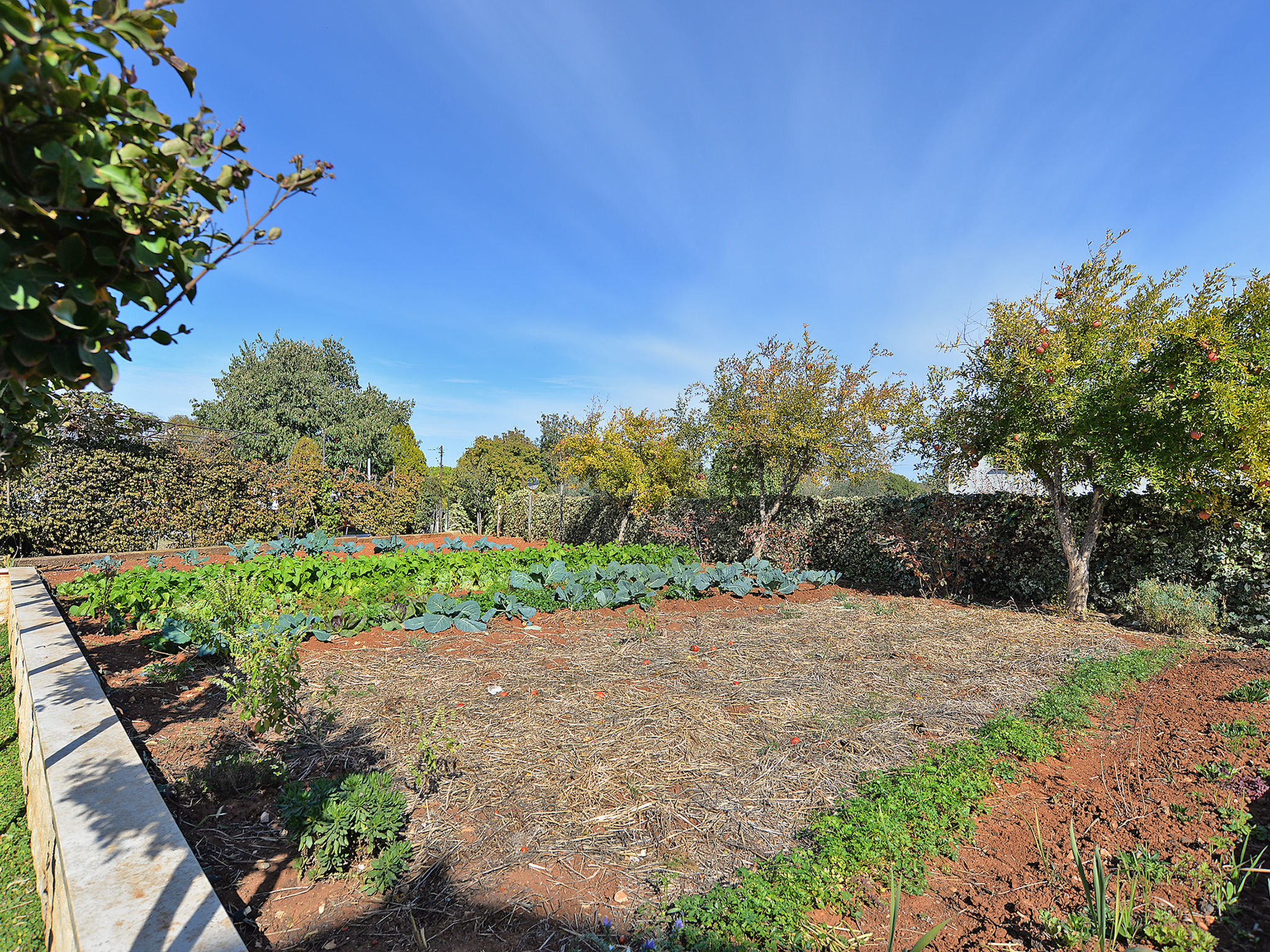 Photo of Apartment 379