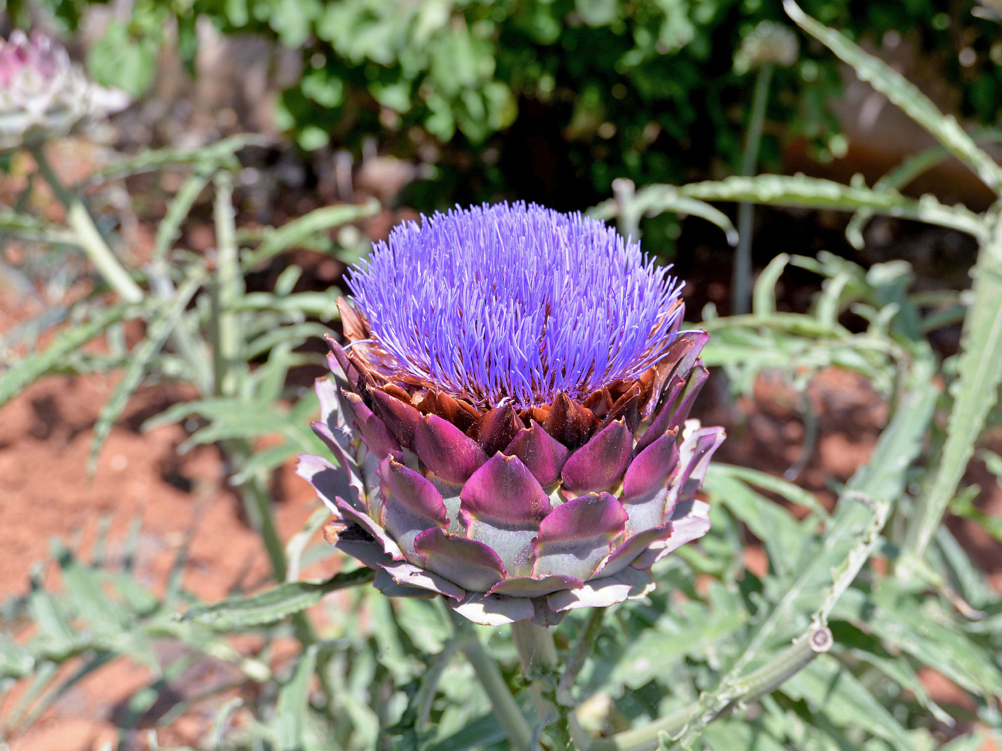 Photo of Apartment 378