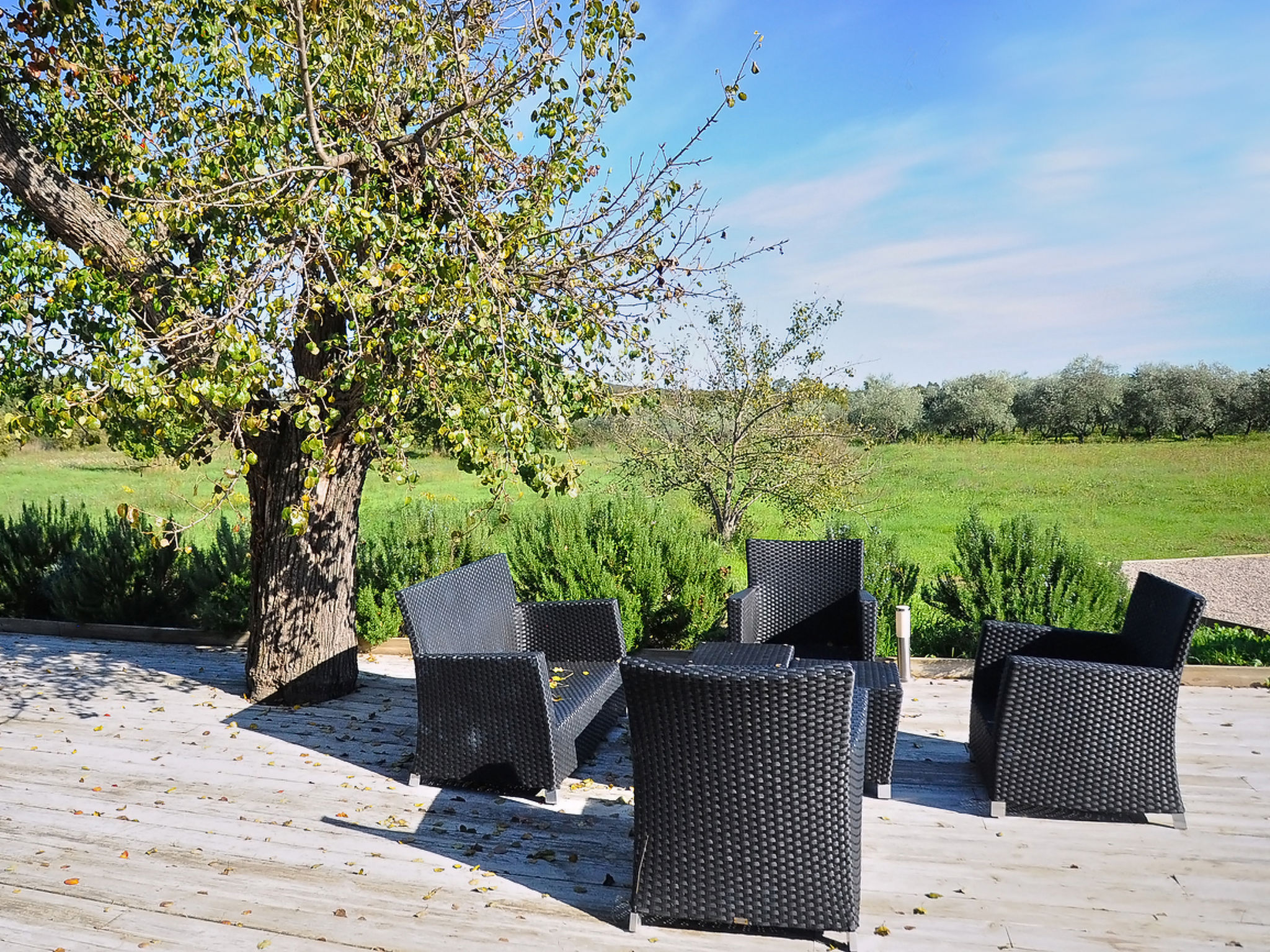 Photo of Villa Mojito