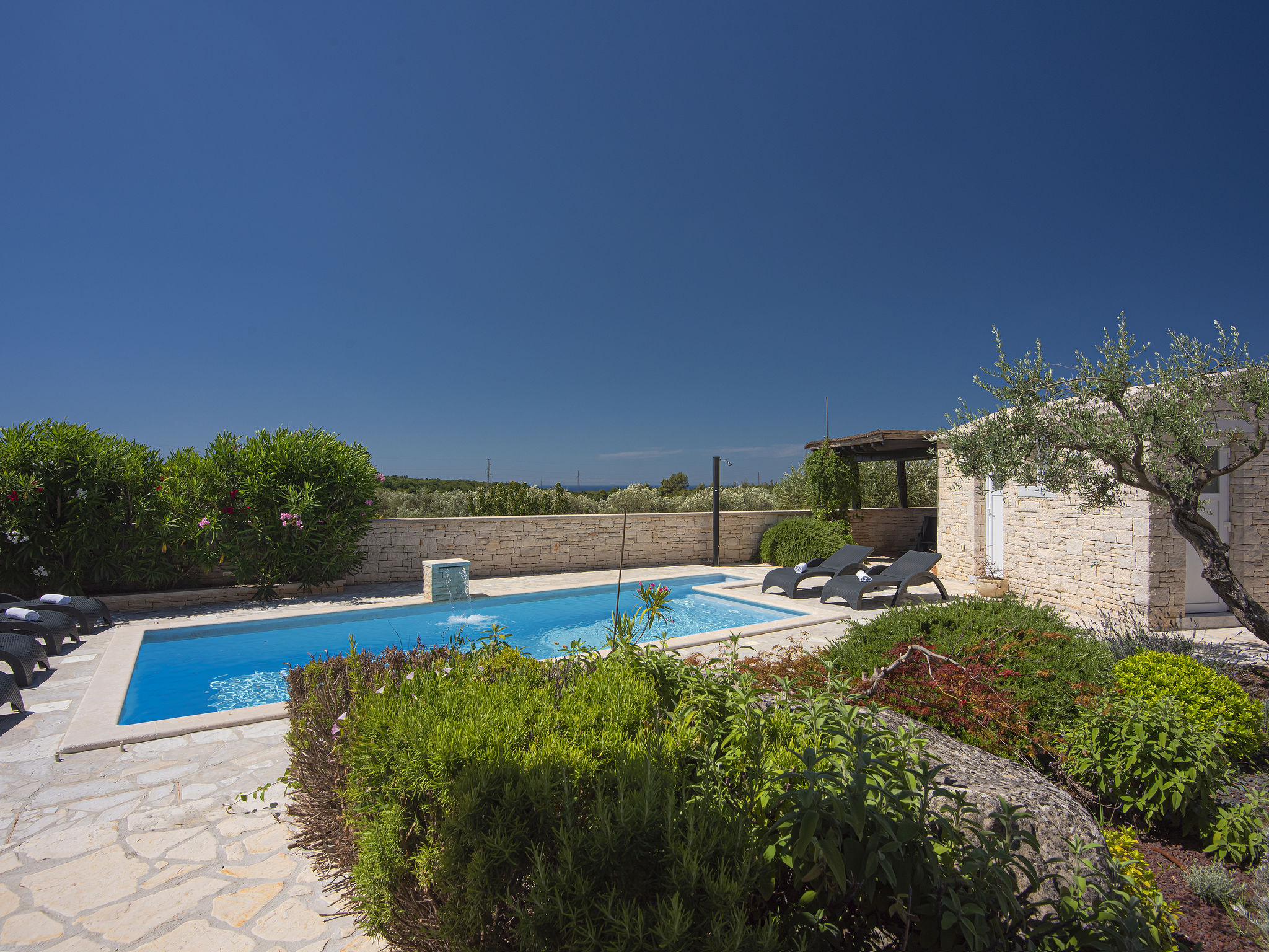 Photo of Villa Branka