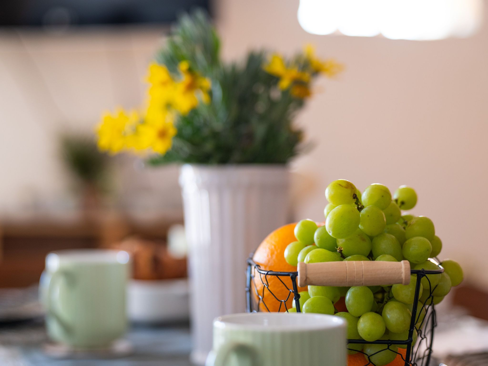 Typisch istrisches Ferienhaus mit Garten-Dedans