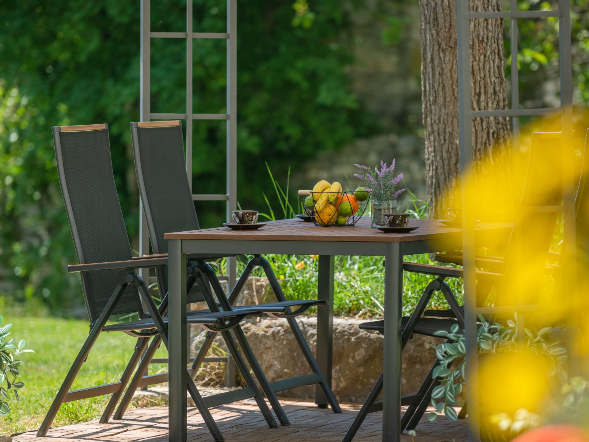 Typisch istrisches Ferienhaus mit Garten-Dedans