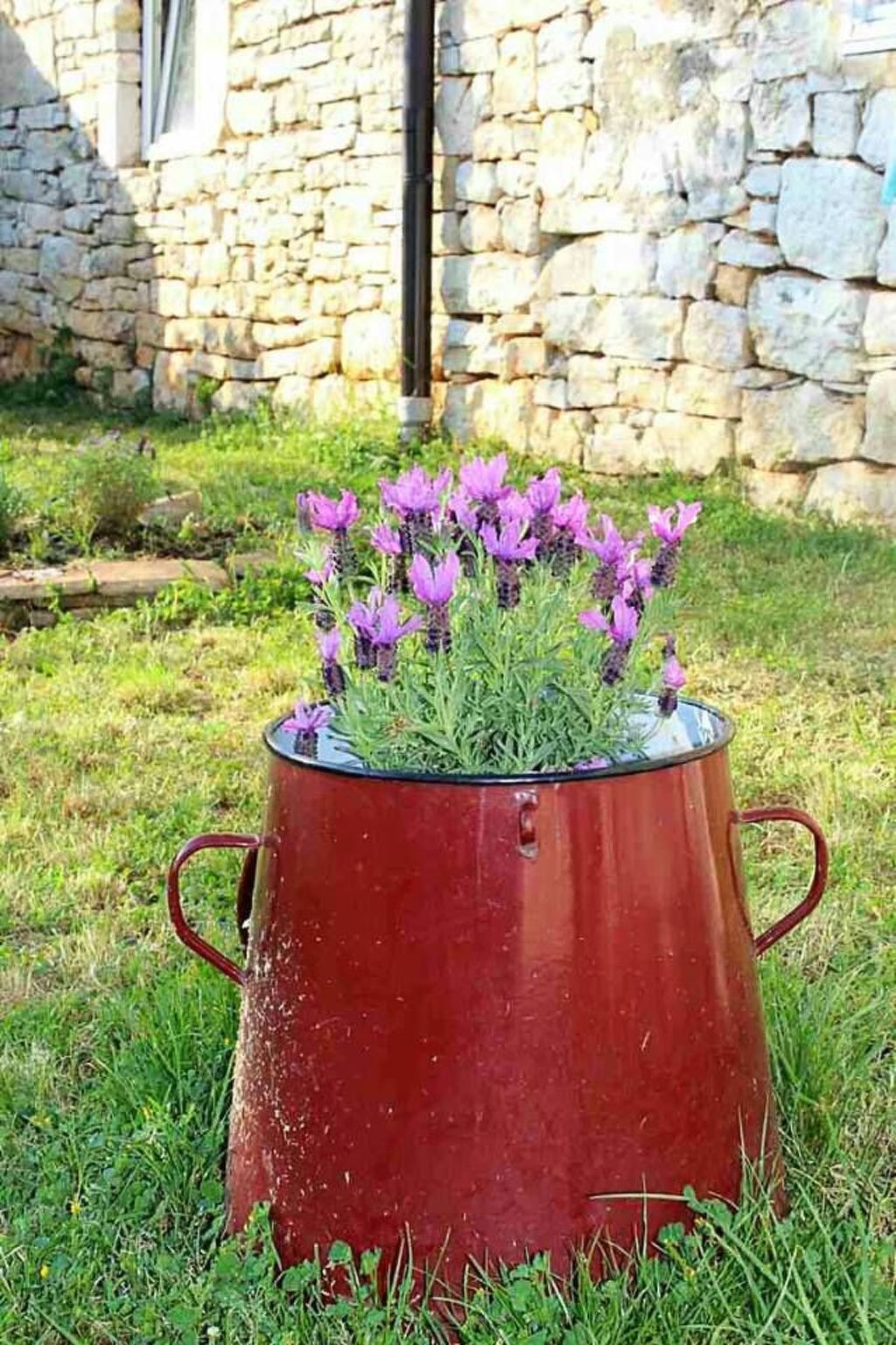 Typisch istrisches Ferienhaus mit Garten-Dedans