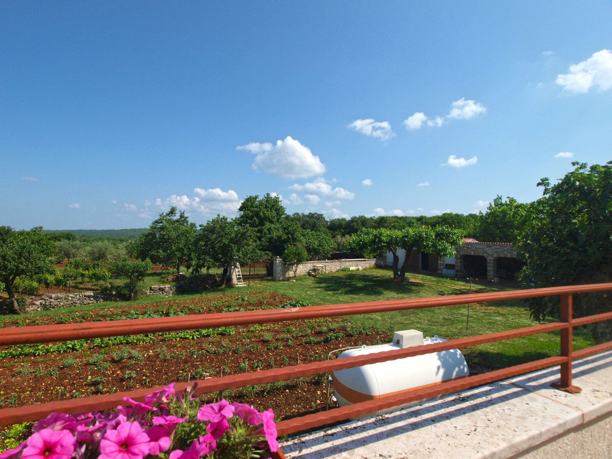 Photo of Apartment 1655