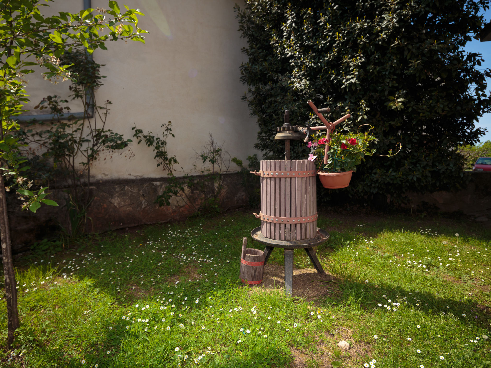 Photo of Apartment 1655