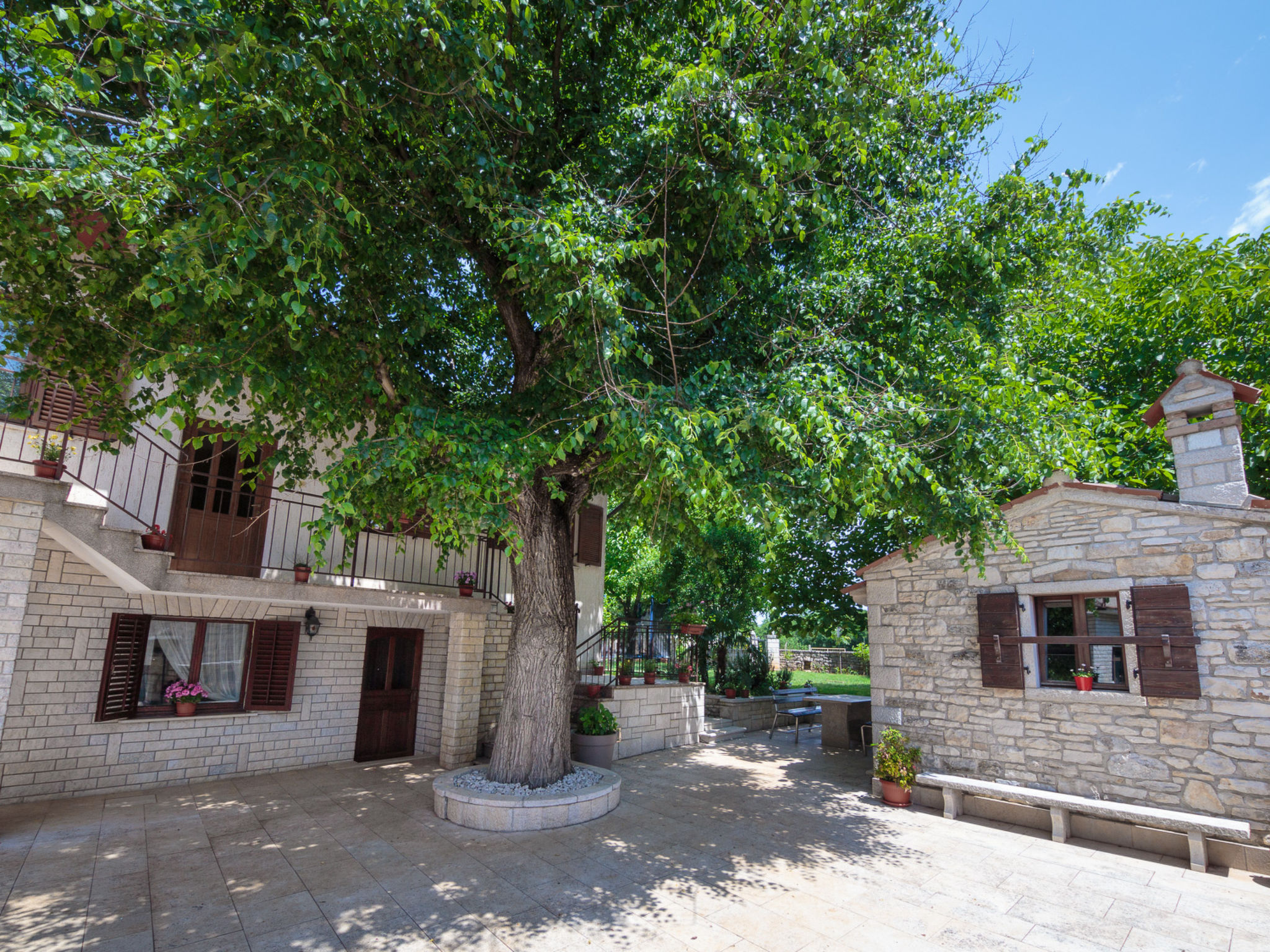 Photo of Apartment 1655