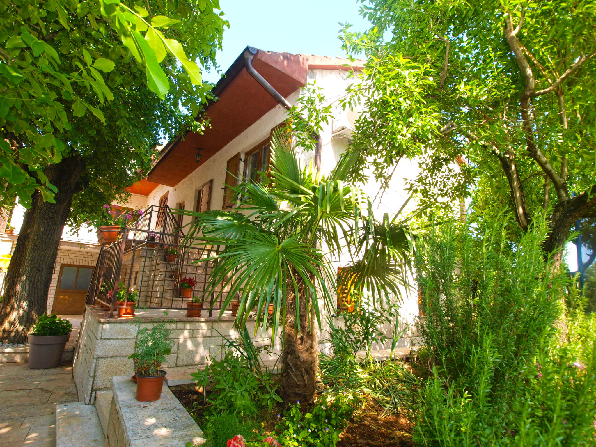 Apartment 1655 Accommodation in Rovinj