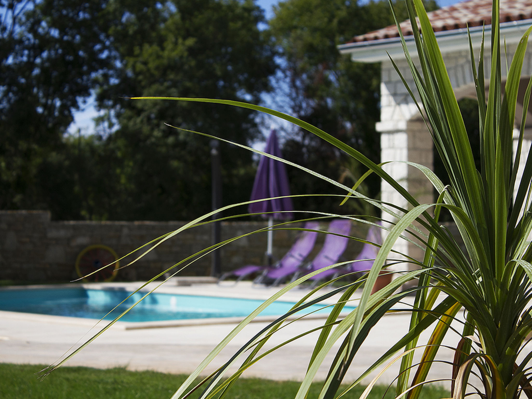 Photo of Villa Krmed