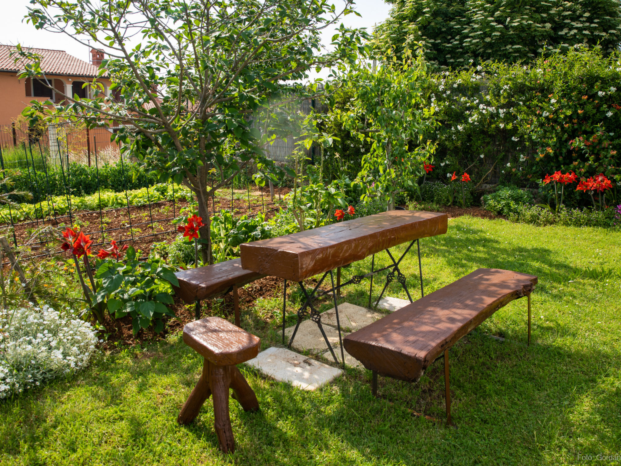 Photo of House Barat