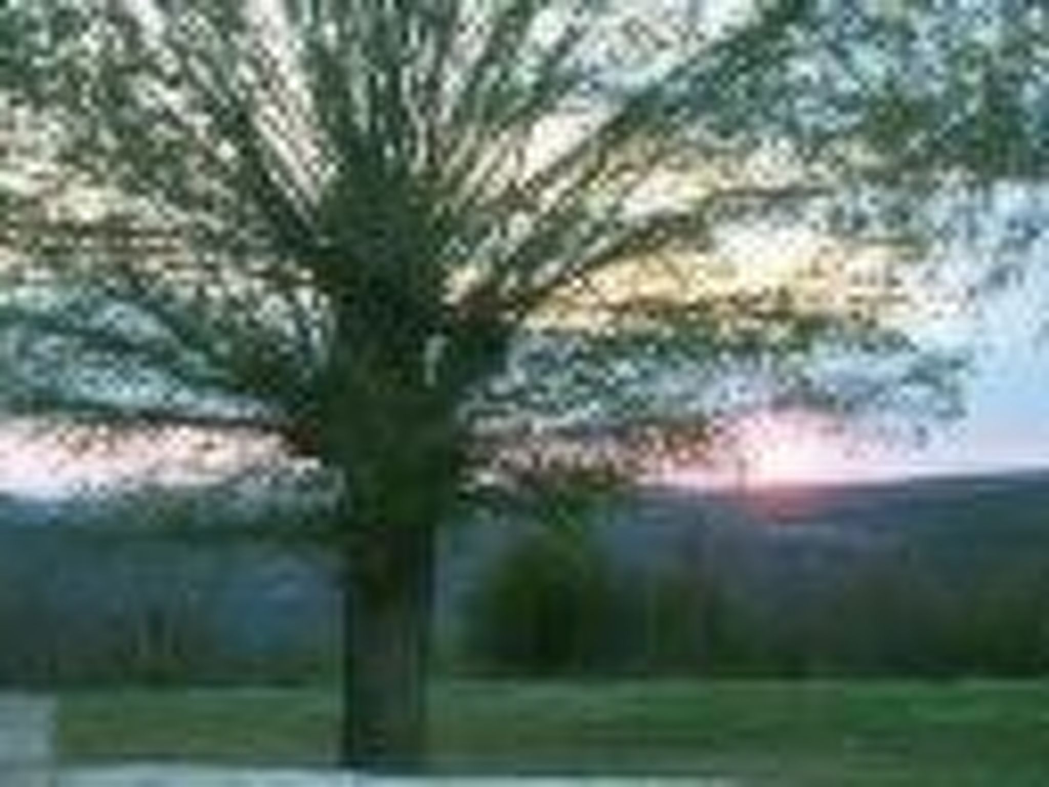 Photo of 'Villa Grguci' mit eigener Terrasse