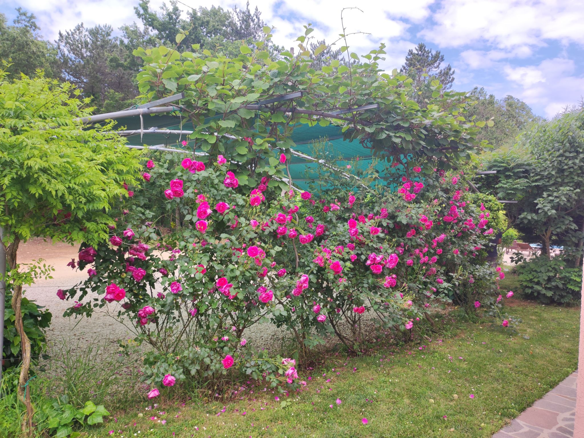 Haus Valmonida-Binnen