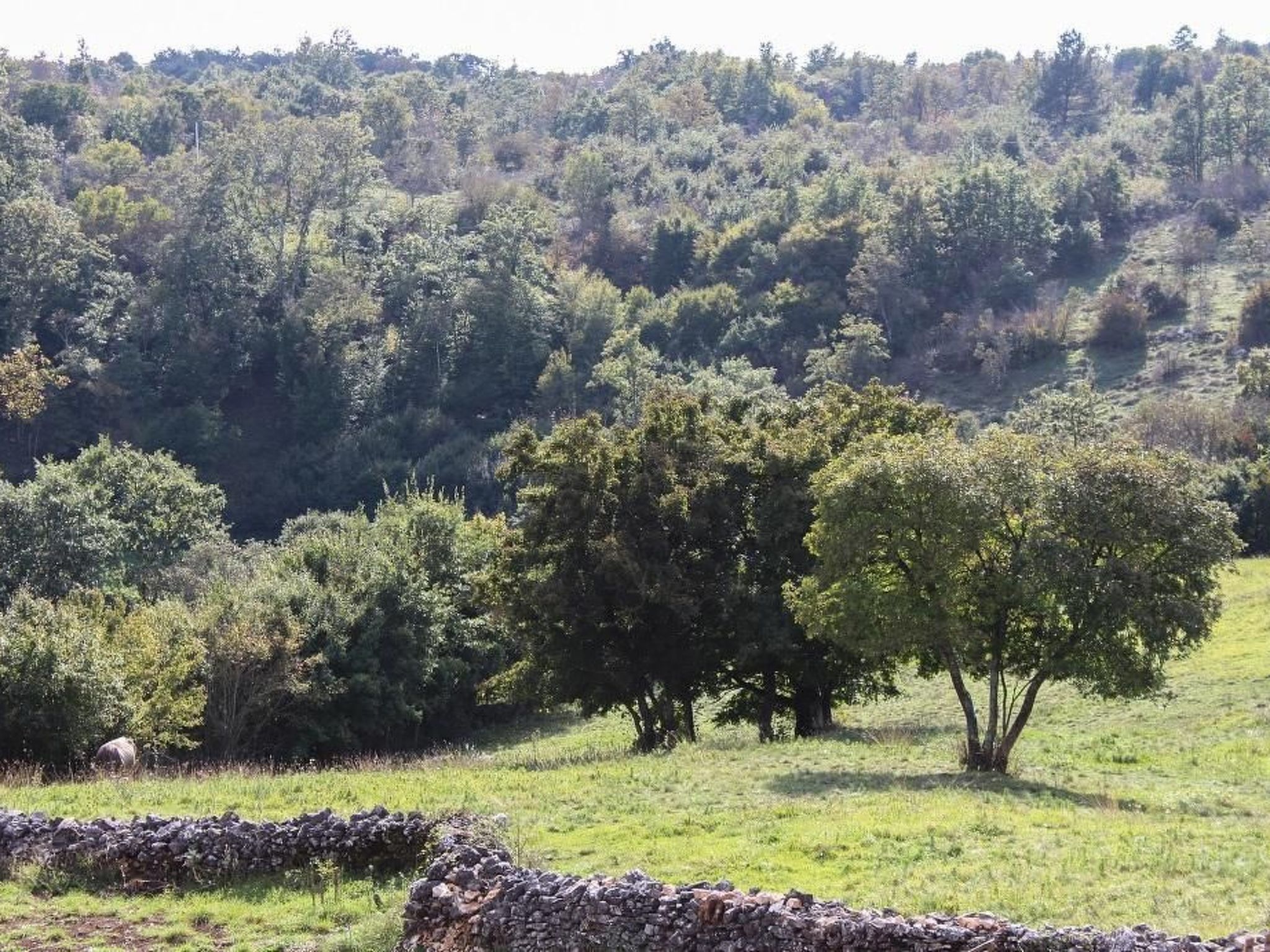 Arton Villa mit beheiztem Pool, in Istrien-Binnen