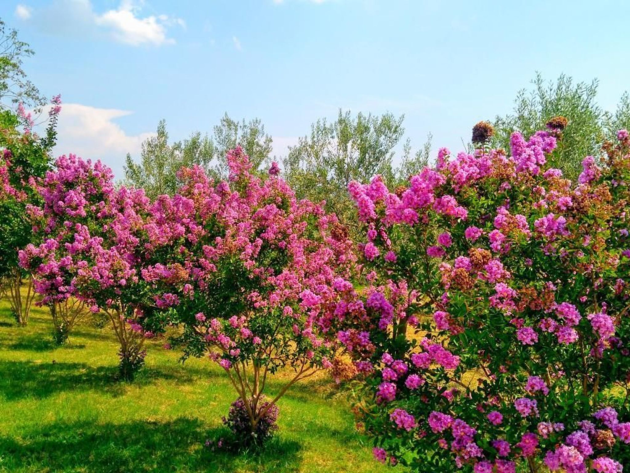 Wohnung mit privatem Pool und herrlicher Aussicht-Dedans