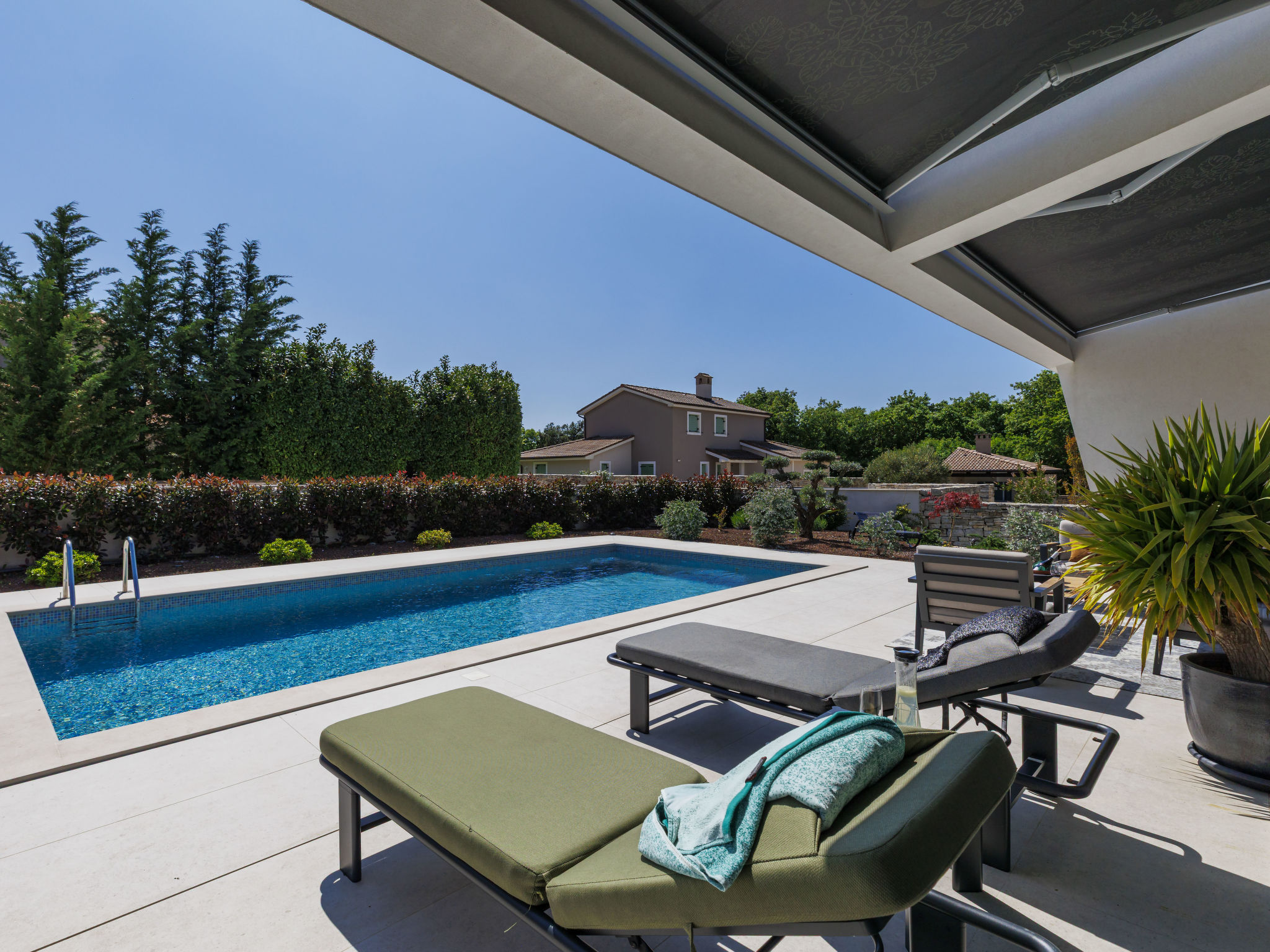 Cedrus