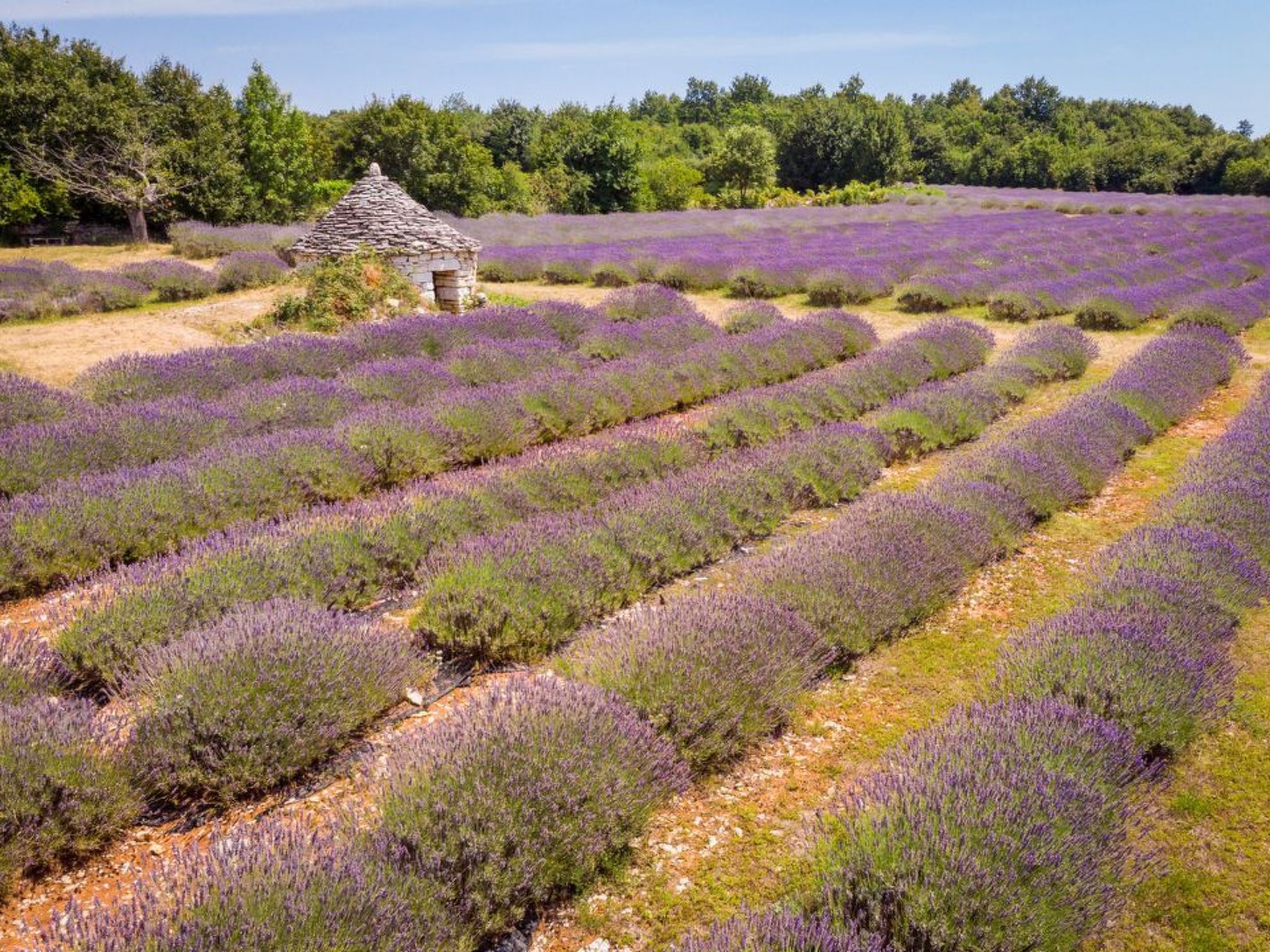 Wohnung "Wohnung Sterna mit Pool"-Binnen