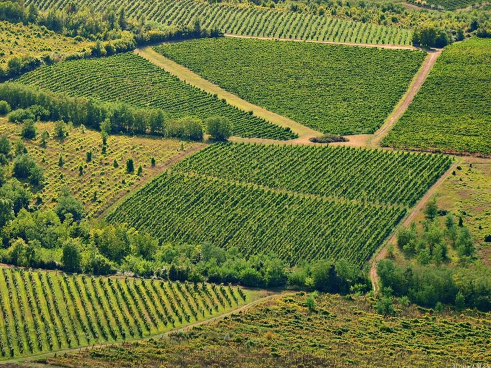 Beach House IVE, romantische Flucht, Jacuzzi, Pool, Meer-Binnen