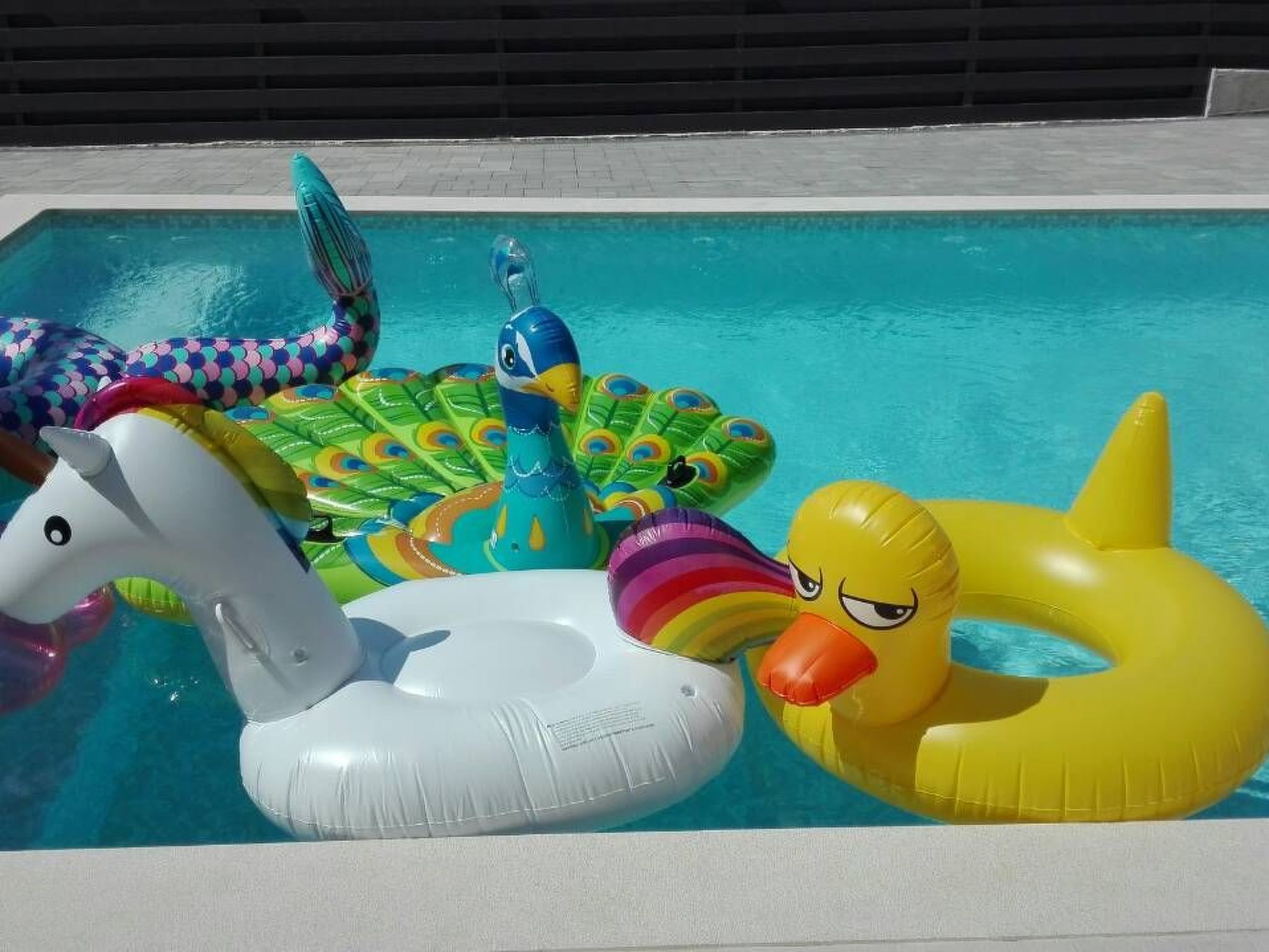 Wellness und Spa Villa Stella, in der Nähe von Stränden - Meer-Drinnen