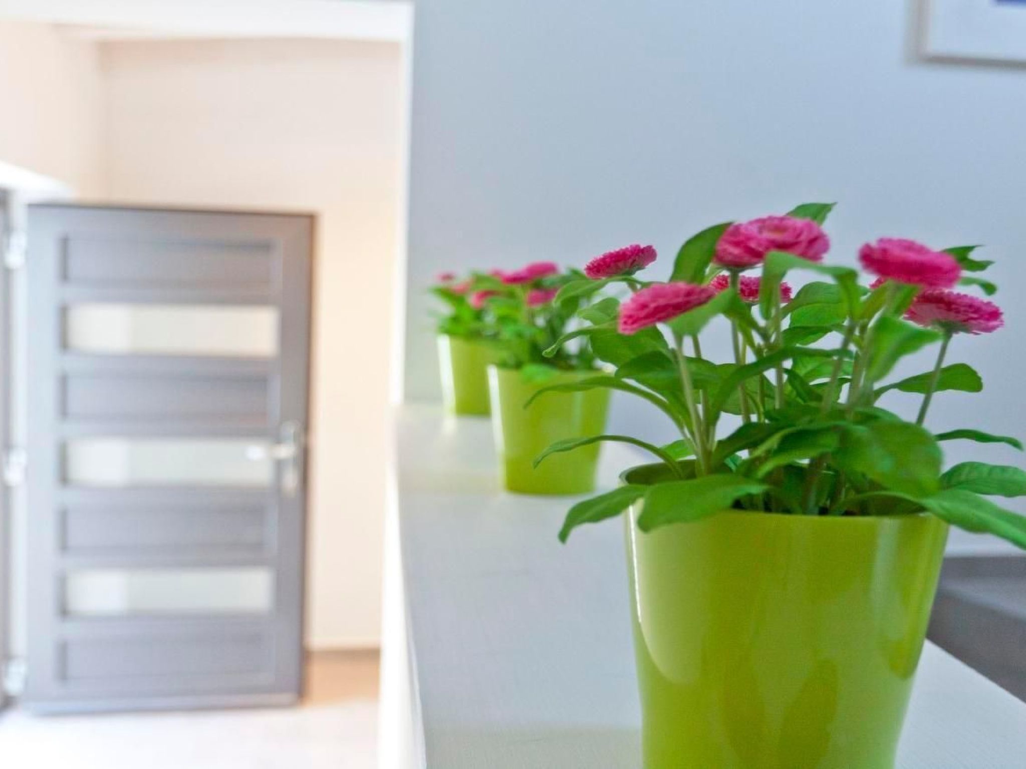 Wellness und Spa Villa Stella, in der Nähe von Stränden - Meer-Drinnen