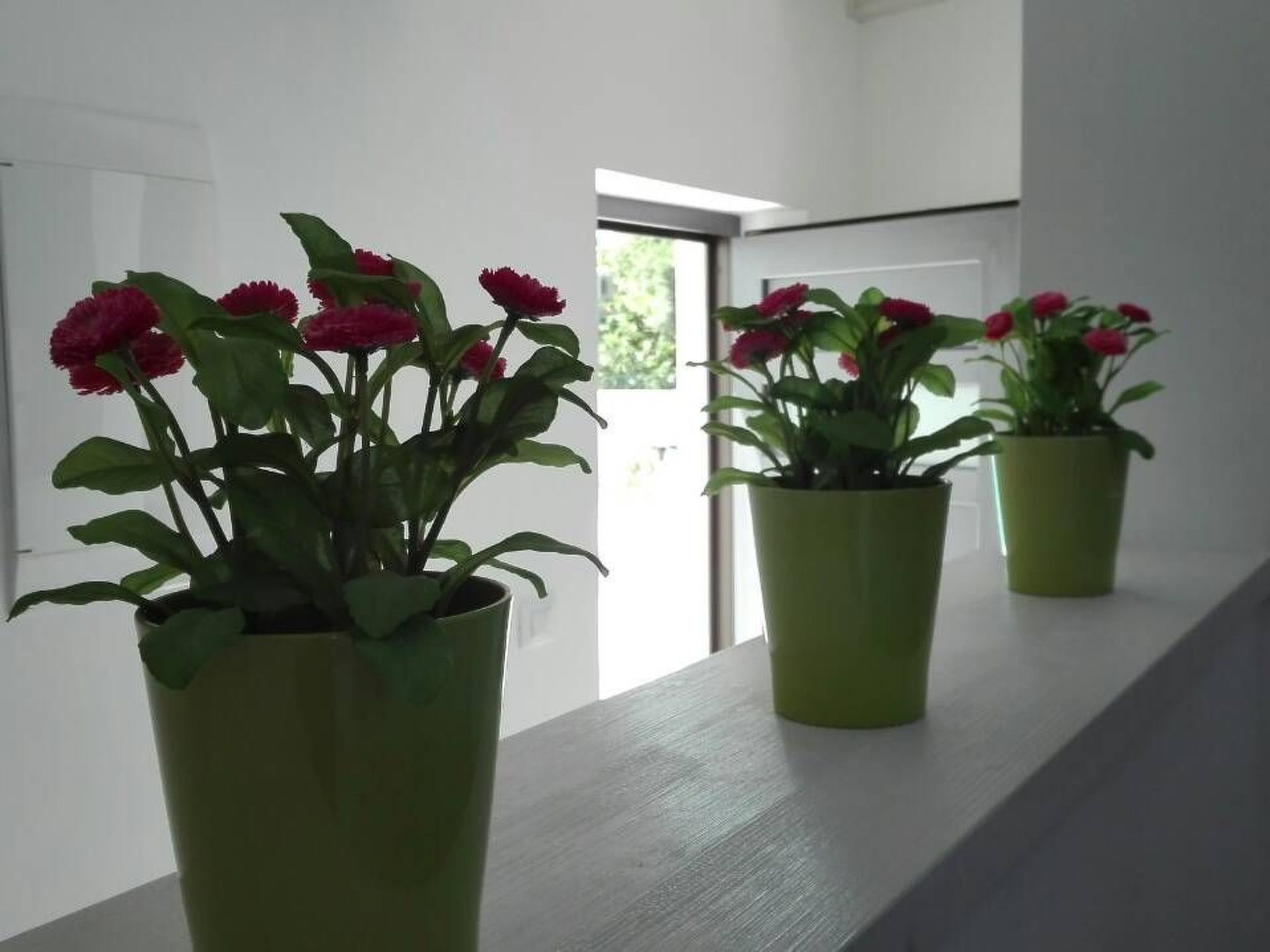 Wellness und Spa Villa Stella, in der Nähe von Stränden - Meer-Drinnen