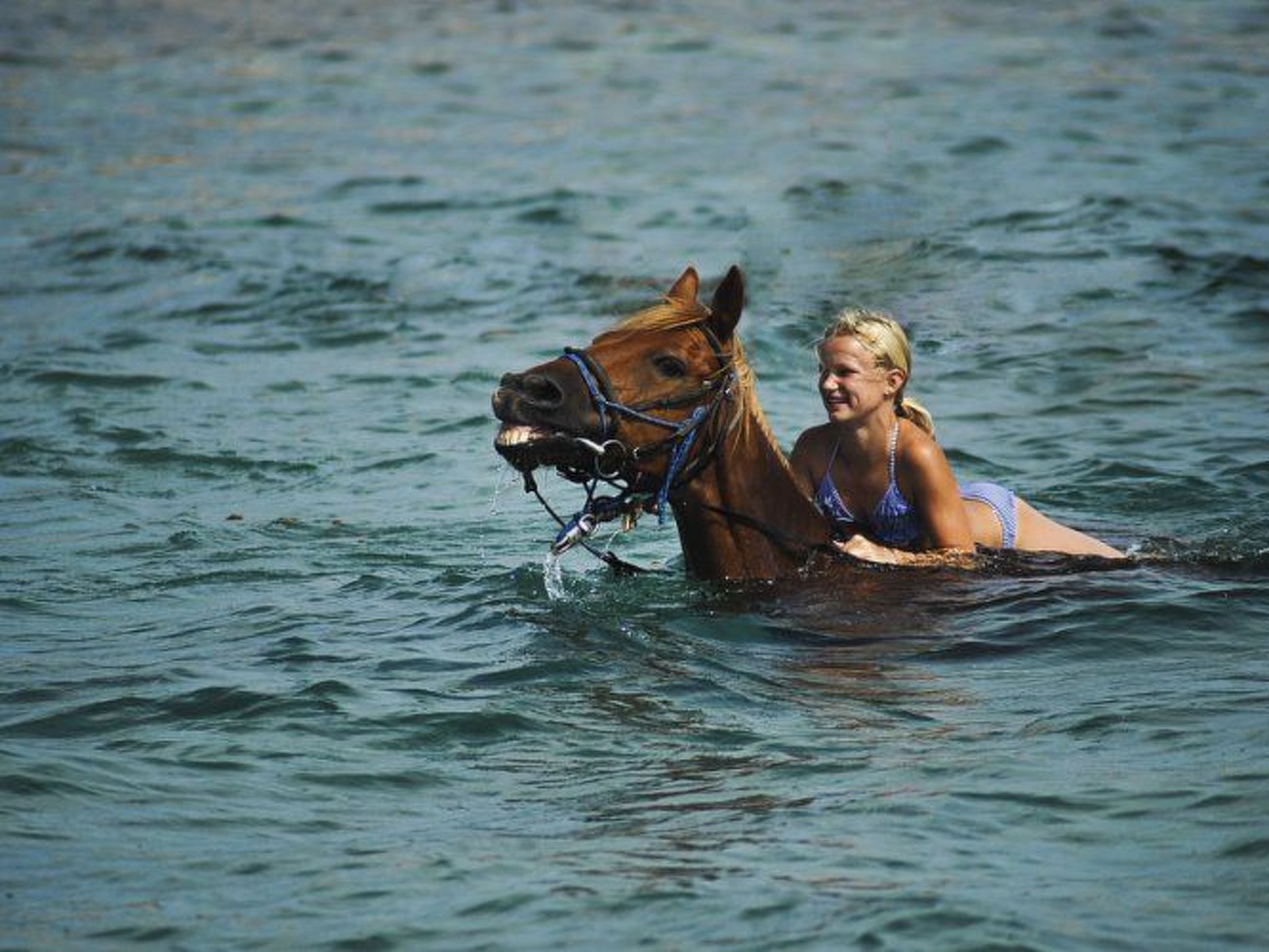 Wellness und Spa Villa Stella, in der Nähe von Stränden - Meer-Drinnen