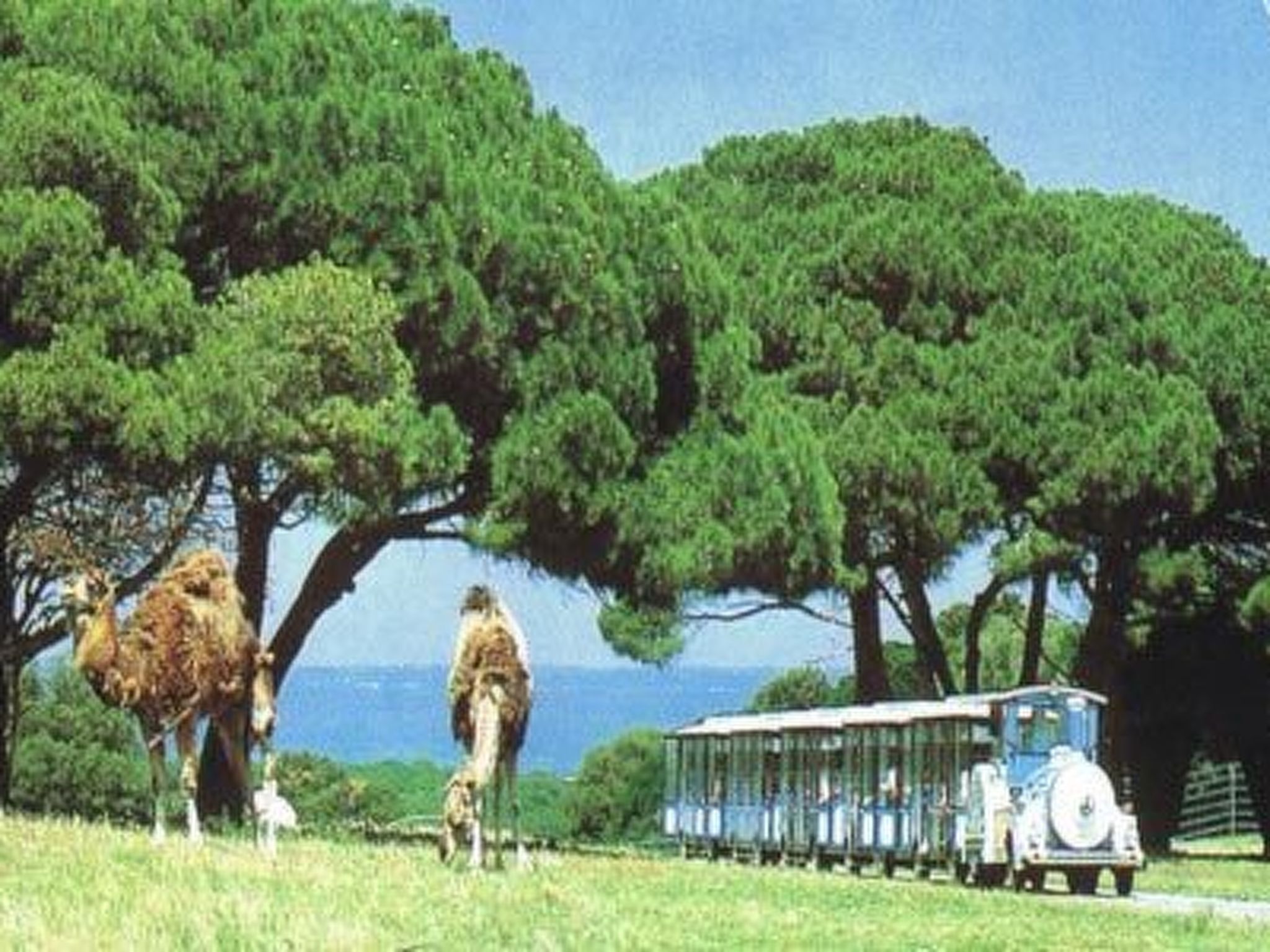 Wellness und Spa Villa Stella, in der Nähe von Stränden - Meer-Drinnen