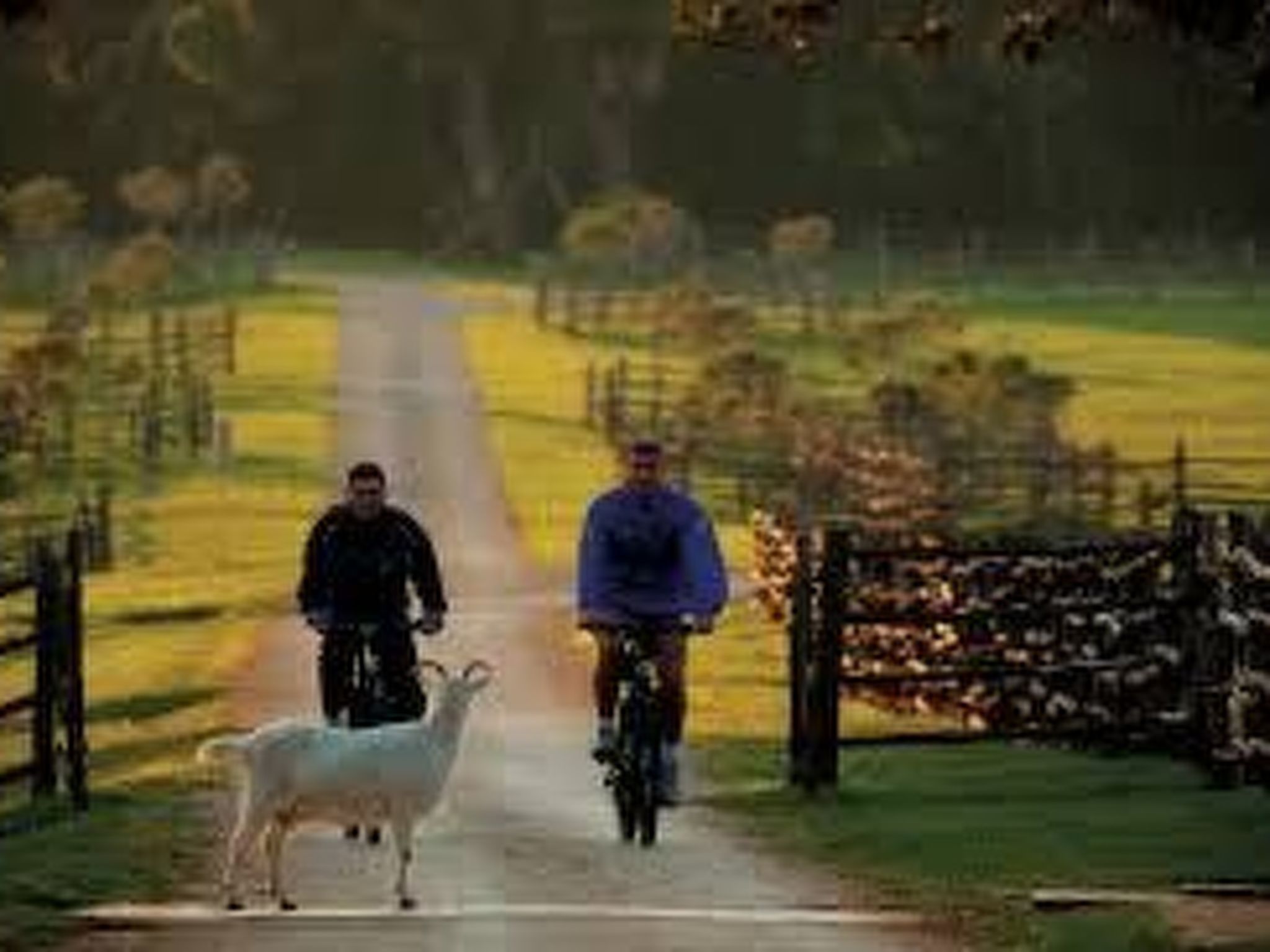 Wellness und Spa Villa Stella, in der Nähe von Stränden - Meer-Drinnen