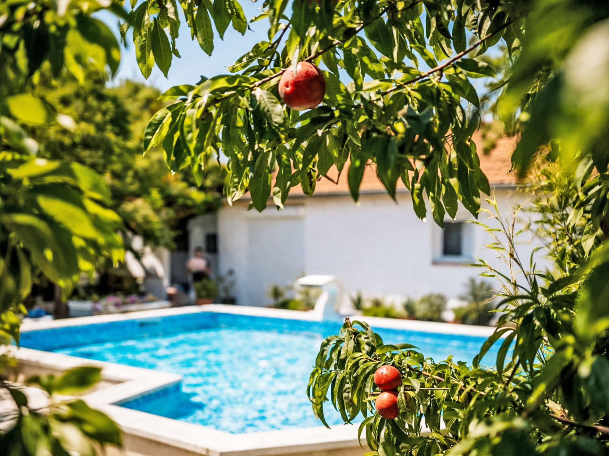 Holiday home CASA SOLE **** beheizter pool - Draußen