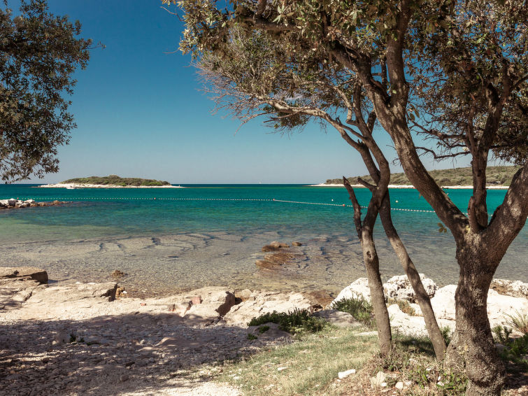 Photo of Luxury Beachside Villa Porto Bus