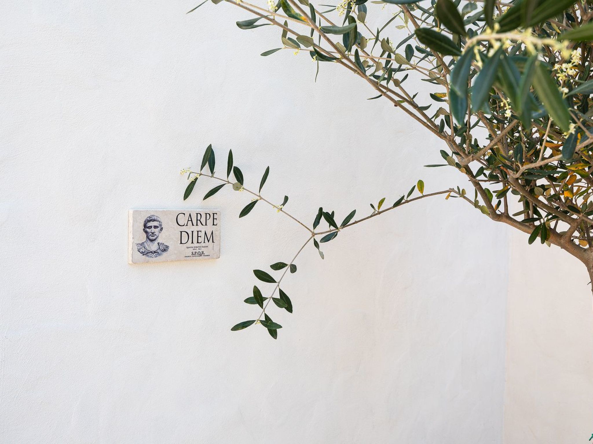 Perfektes Ferienhaus in Bale mit Privatem Pool-Image-tags.info