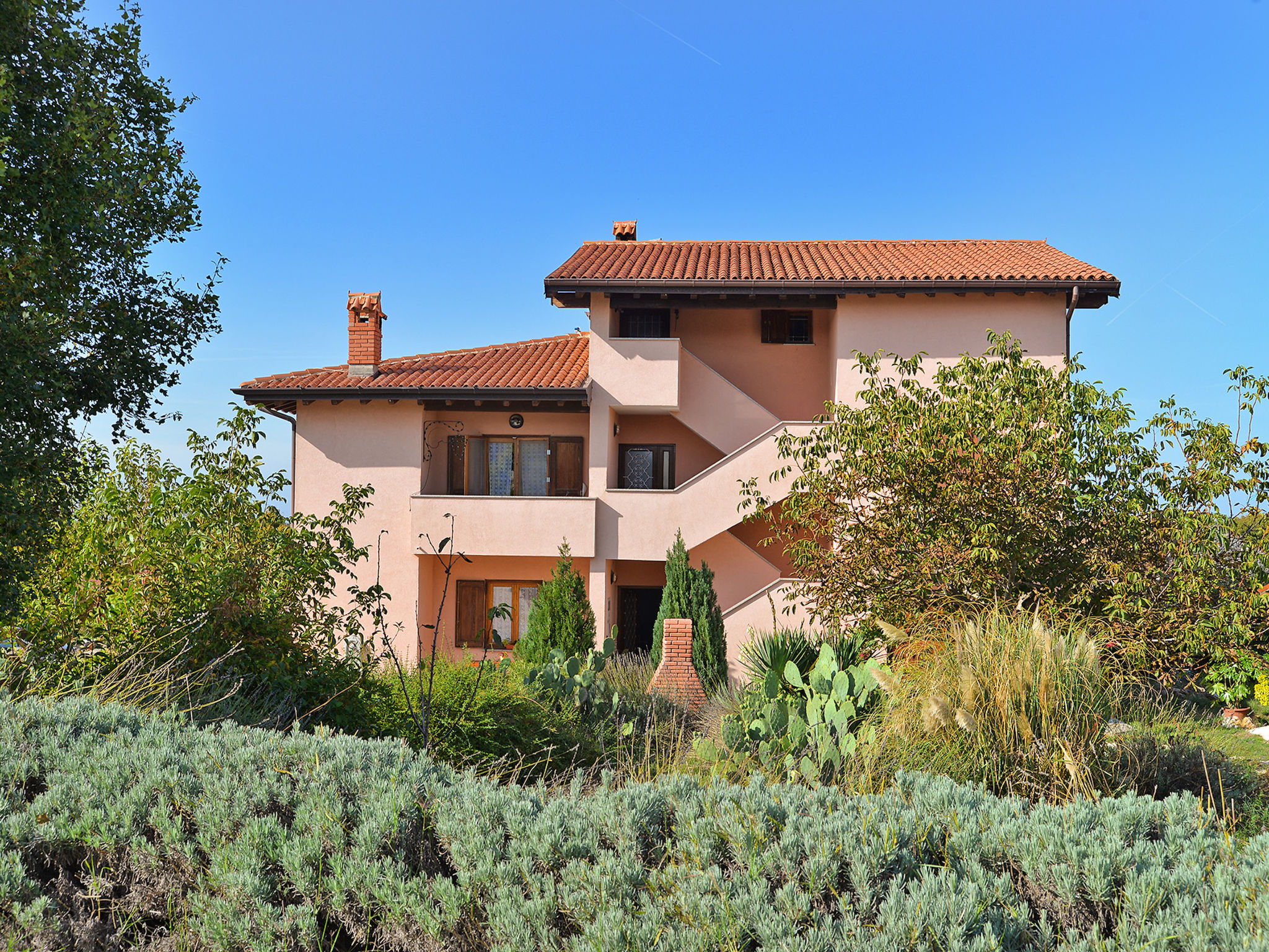 Photo of Apartment 1945