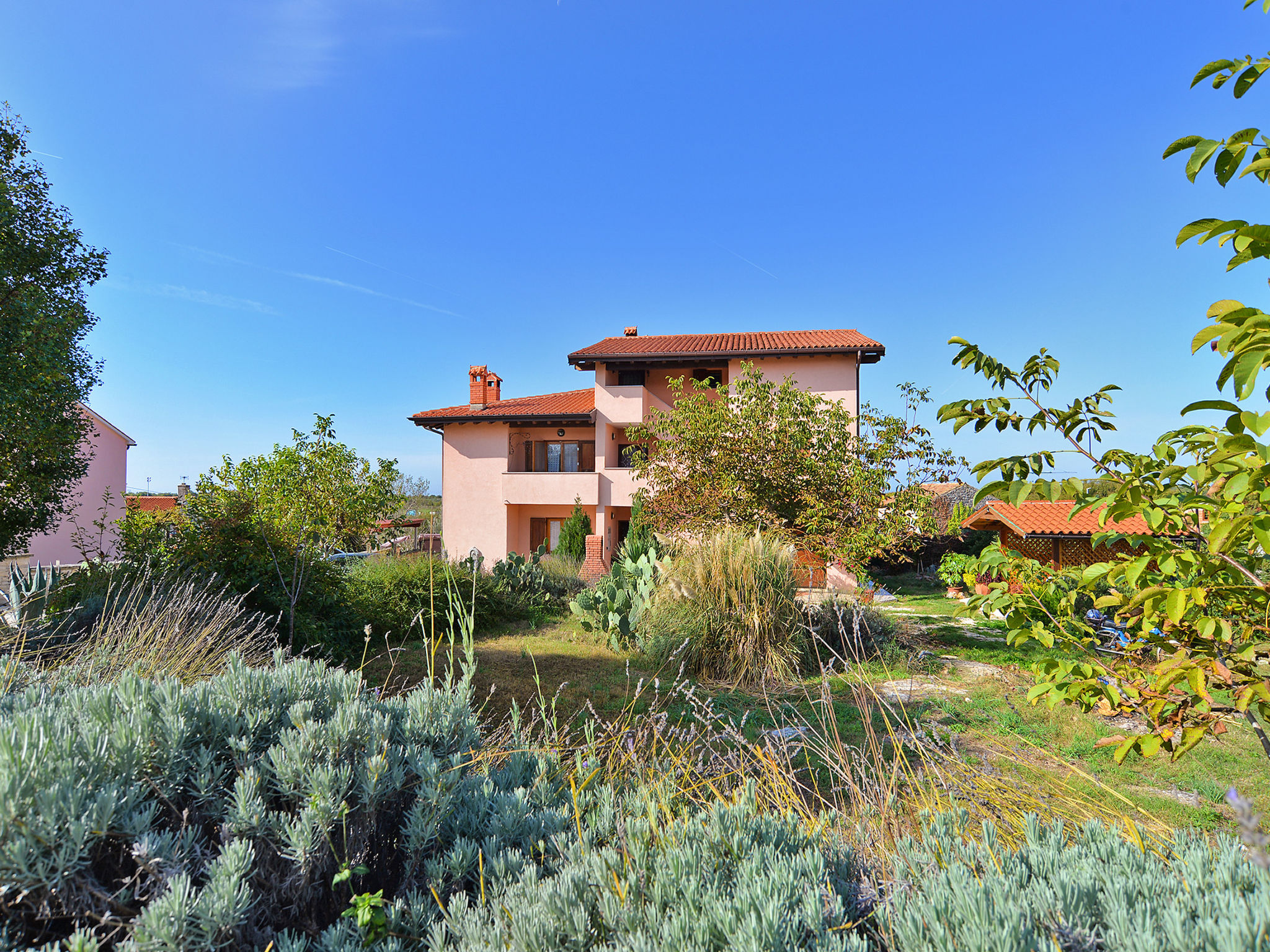 Photo of Apartment 1945