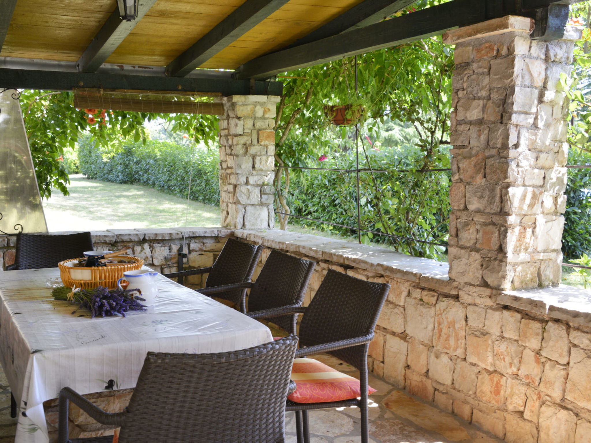 House 24 - Dehors