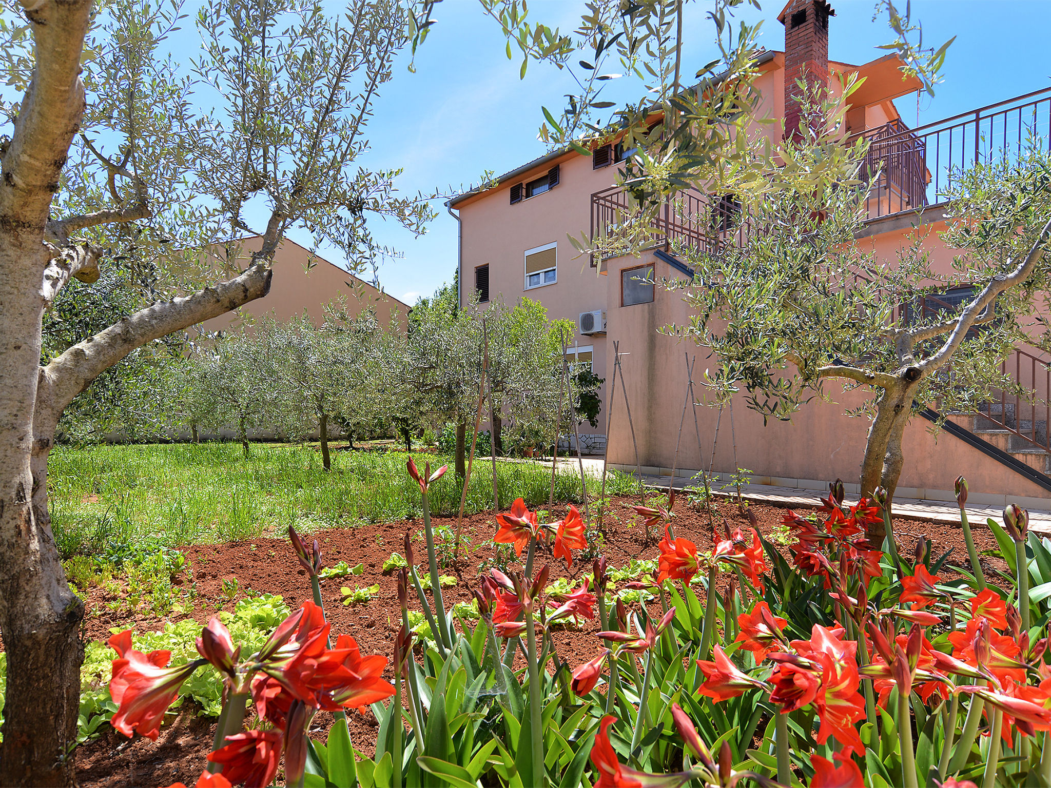 Photo of Apartment 250