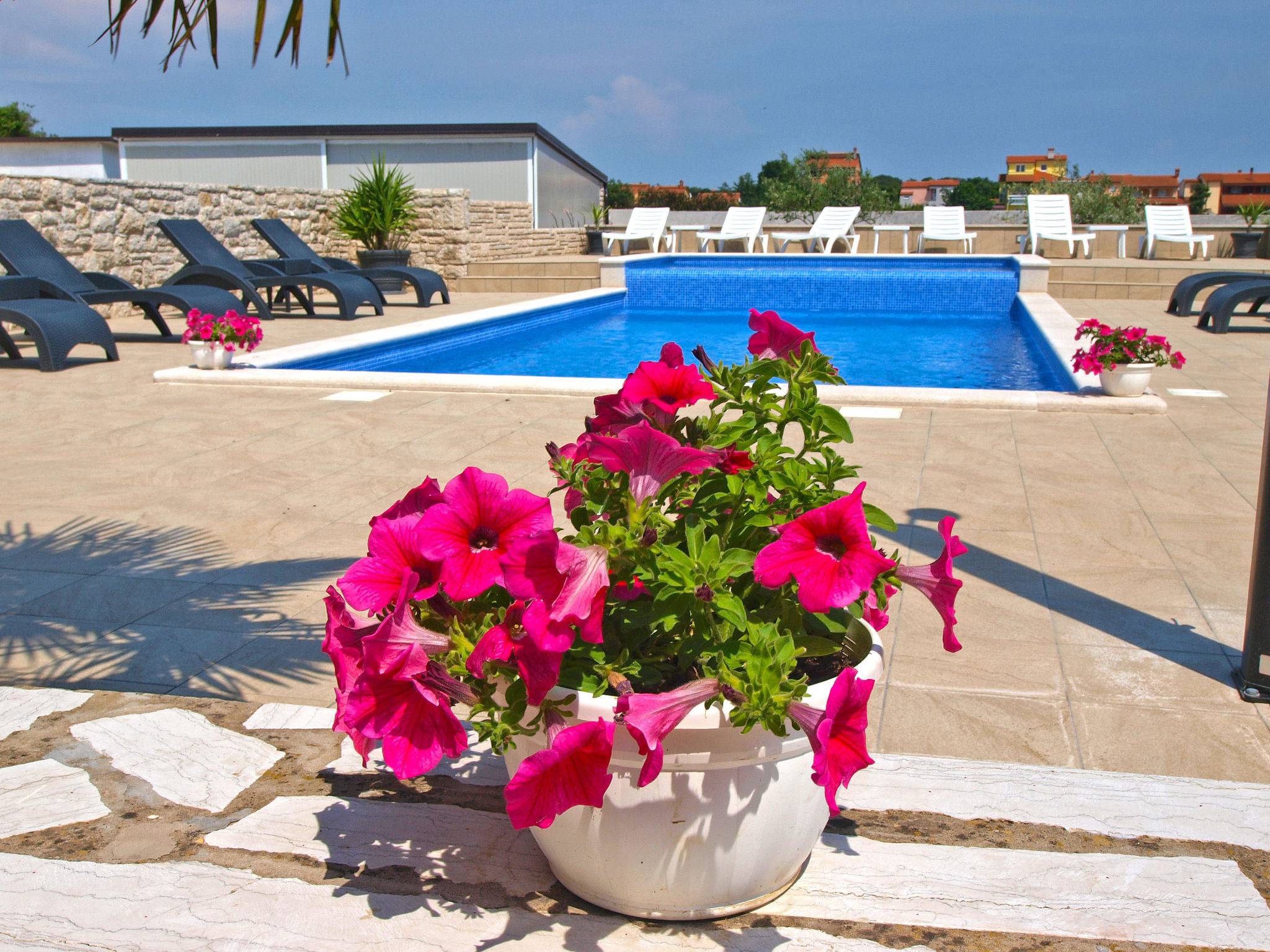 Photo of Apartment 1249