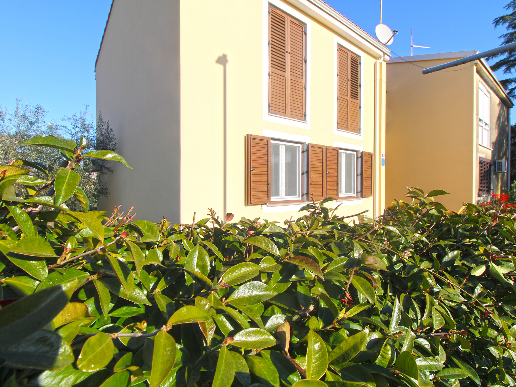 Photo of Apartment 2215