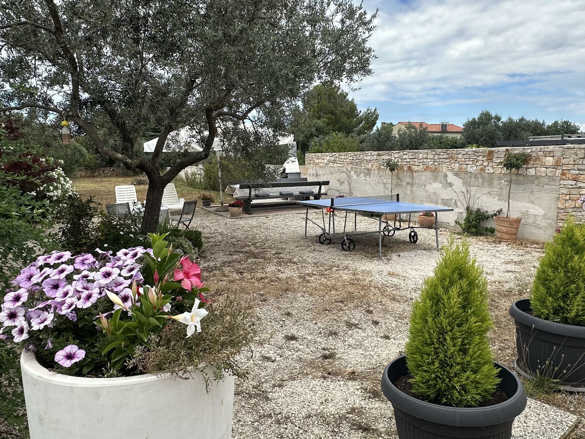 Photo of Apartment 1132