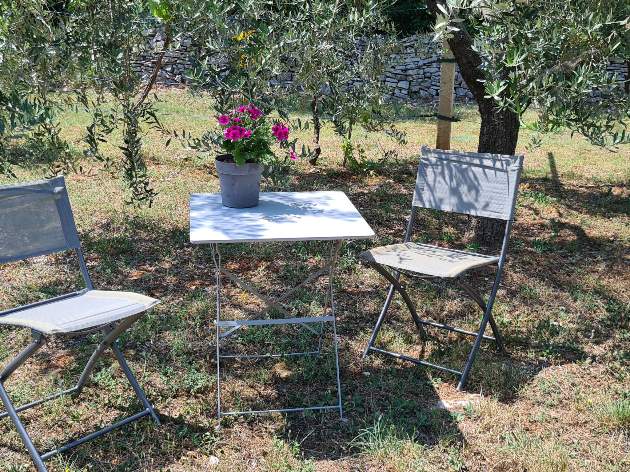 Photo of Apartment 1132