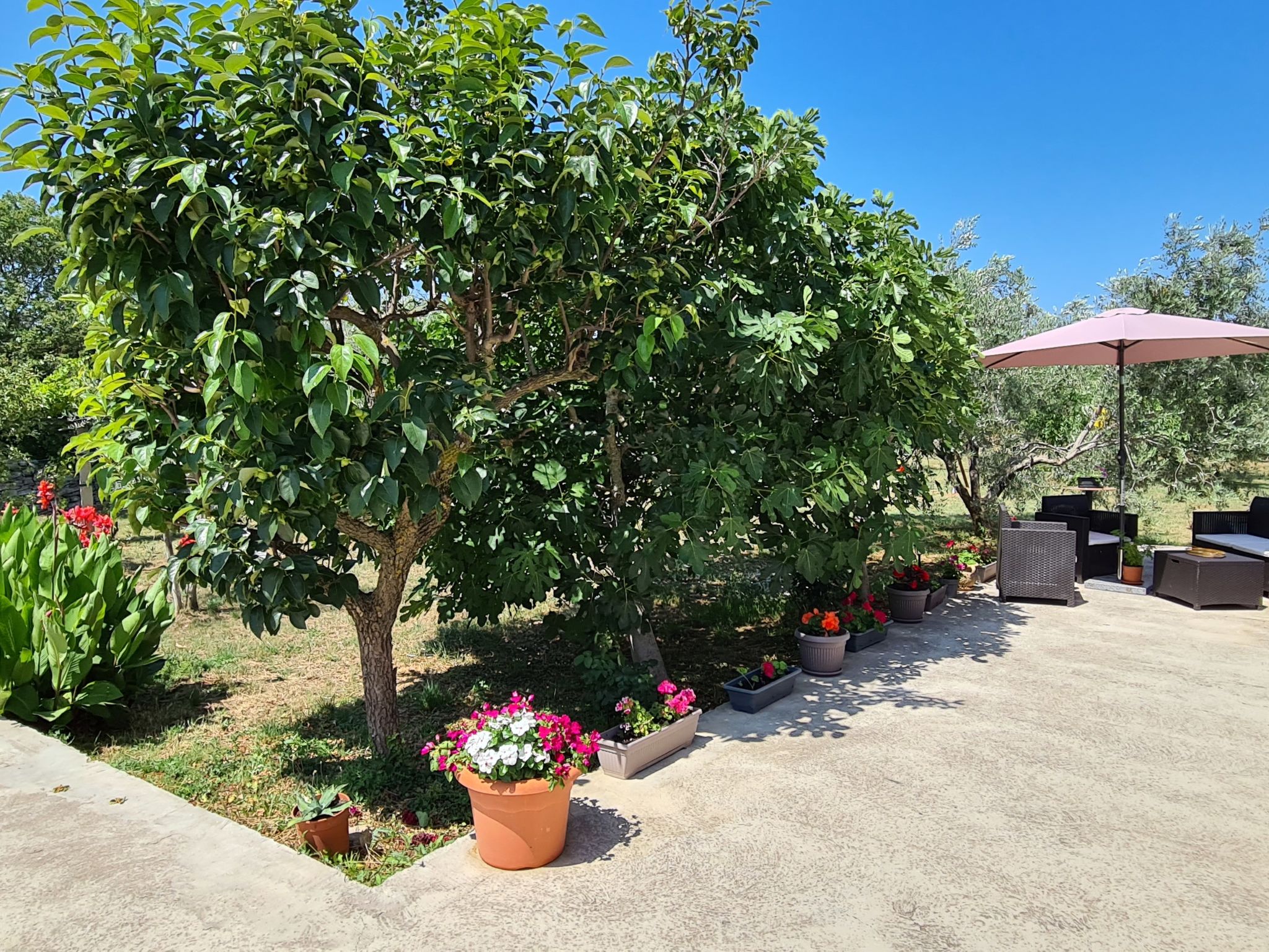 Photo of Apartment 1132