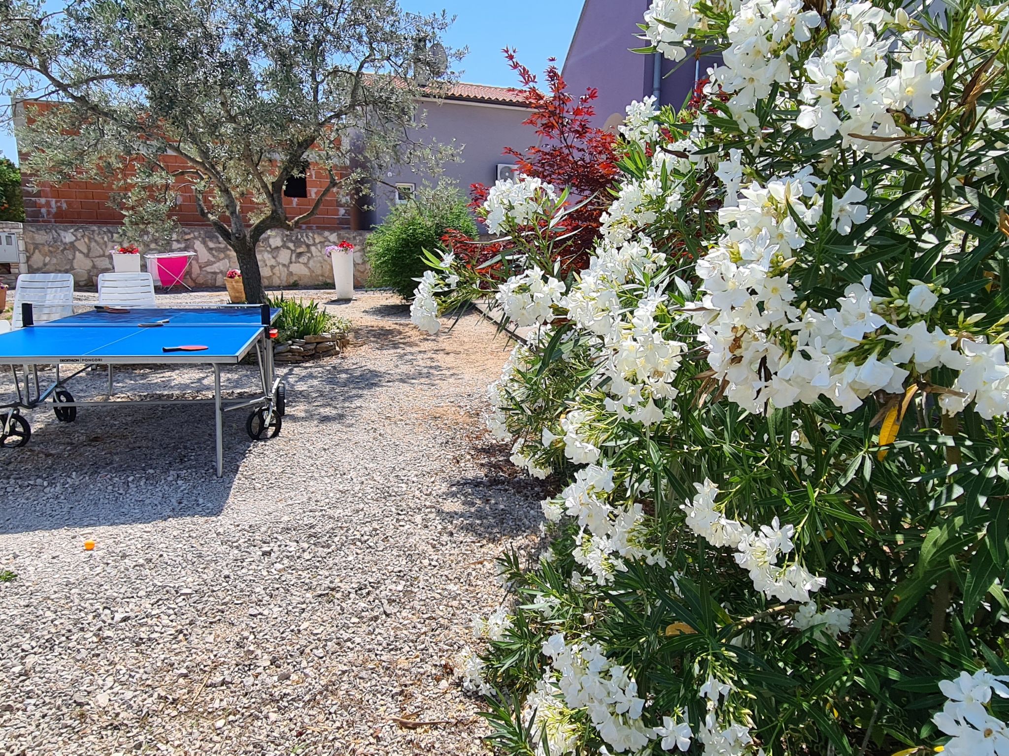 Photo of Apartment 1132