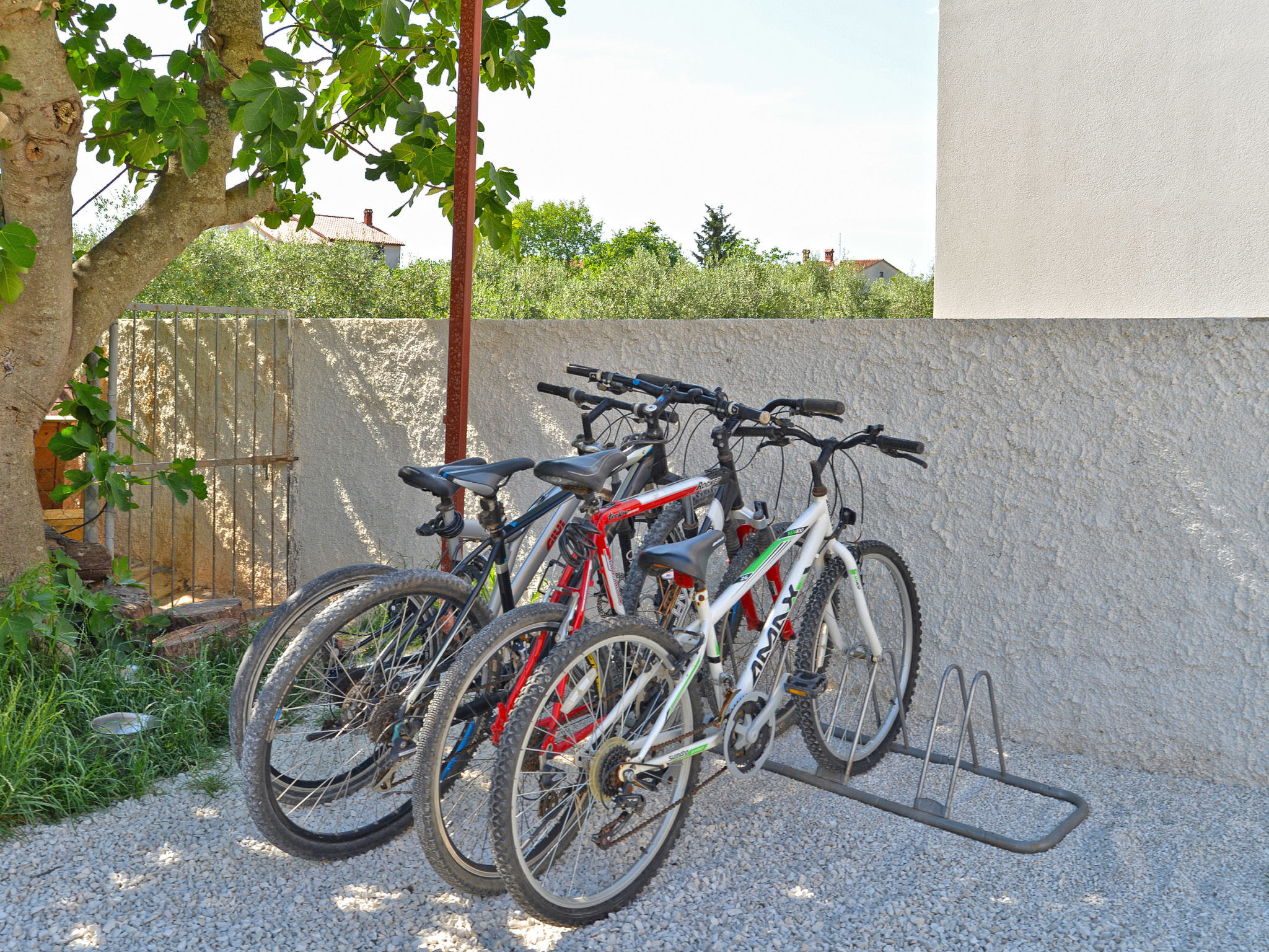 Photo of Apartment 351