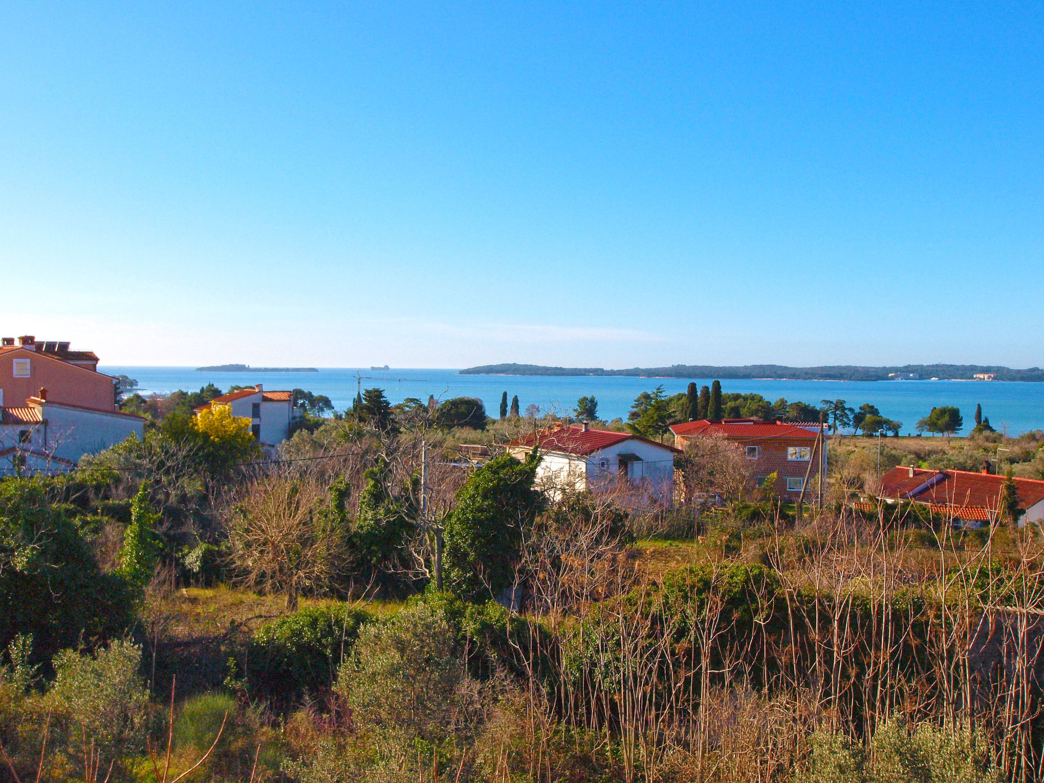 Photo of Apartment 994