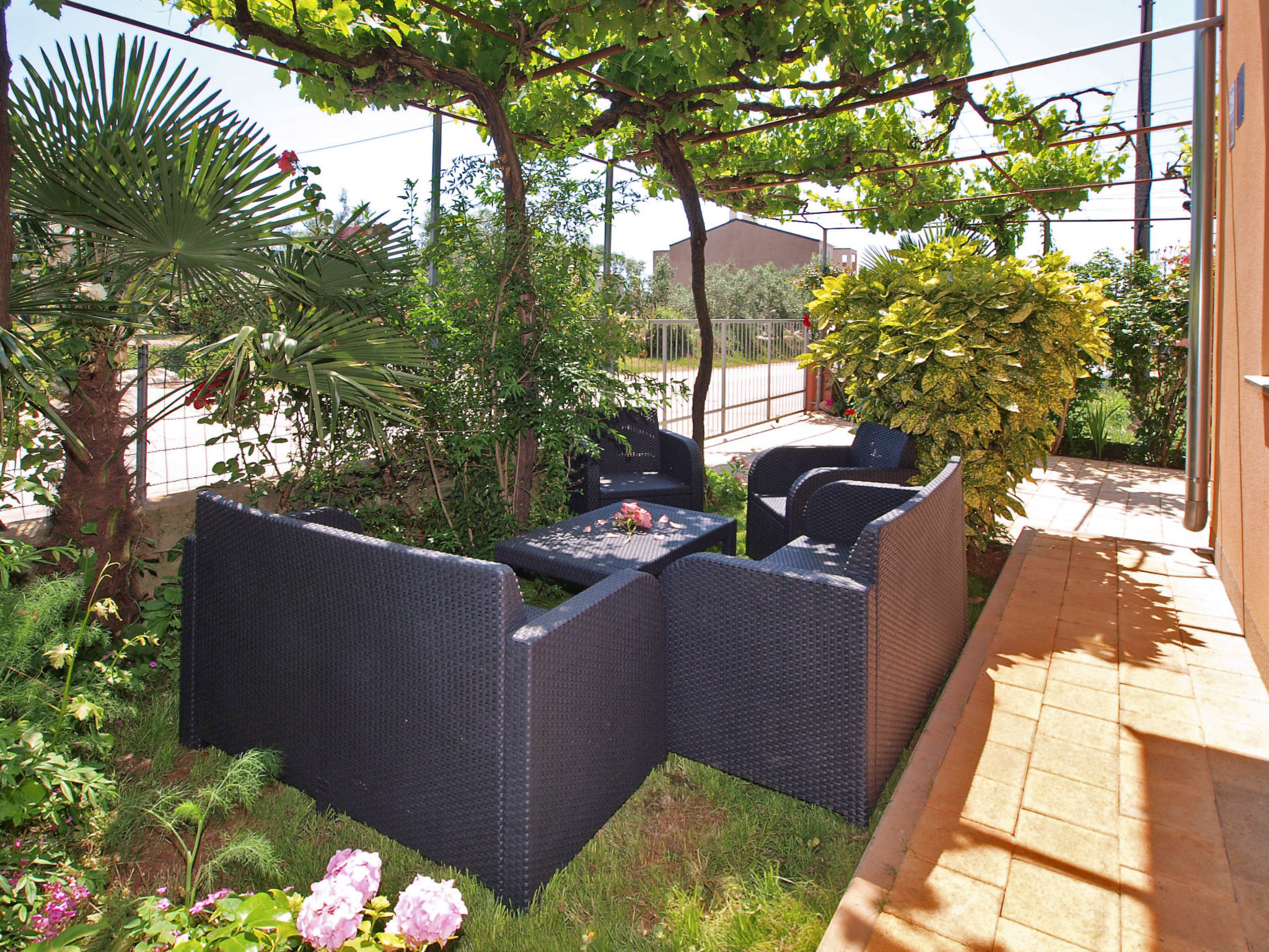 Photo of Apartment 351